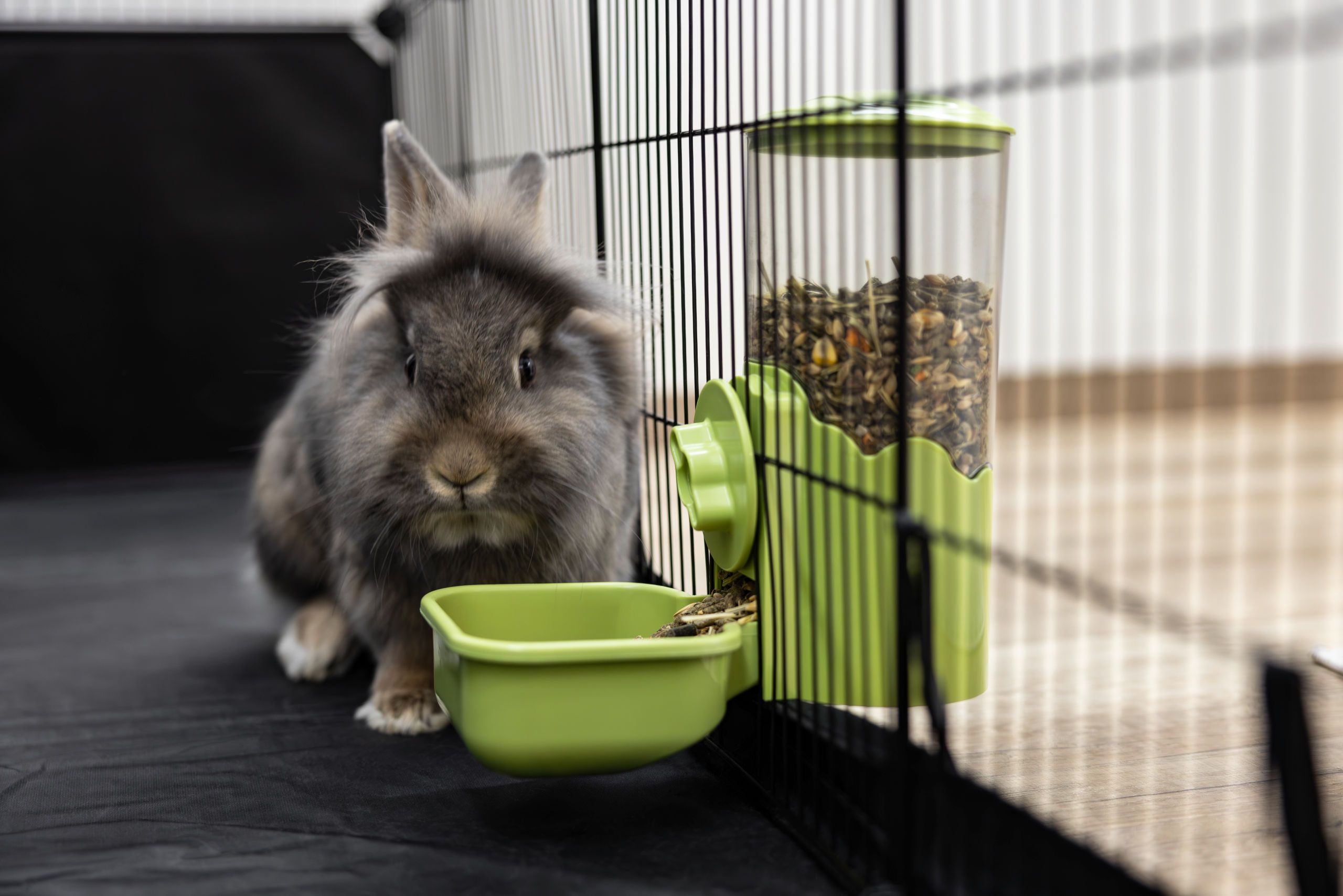 Kaninchen, Tier, Käfig, grüner Futterspender, Pellets