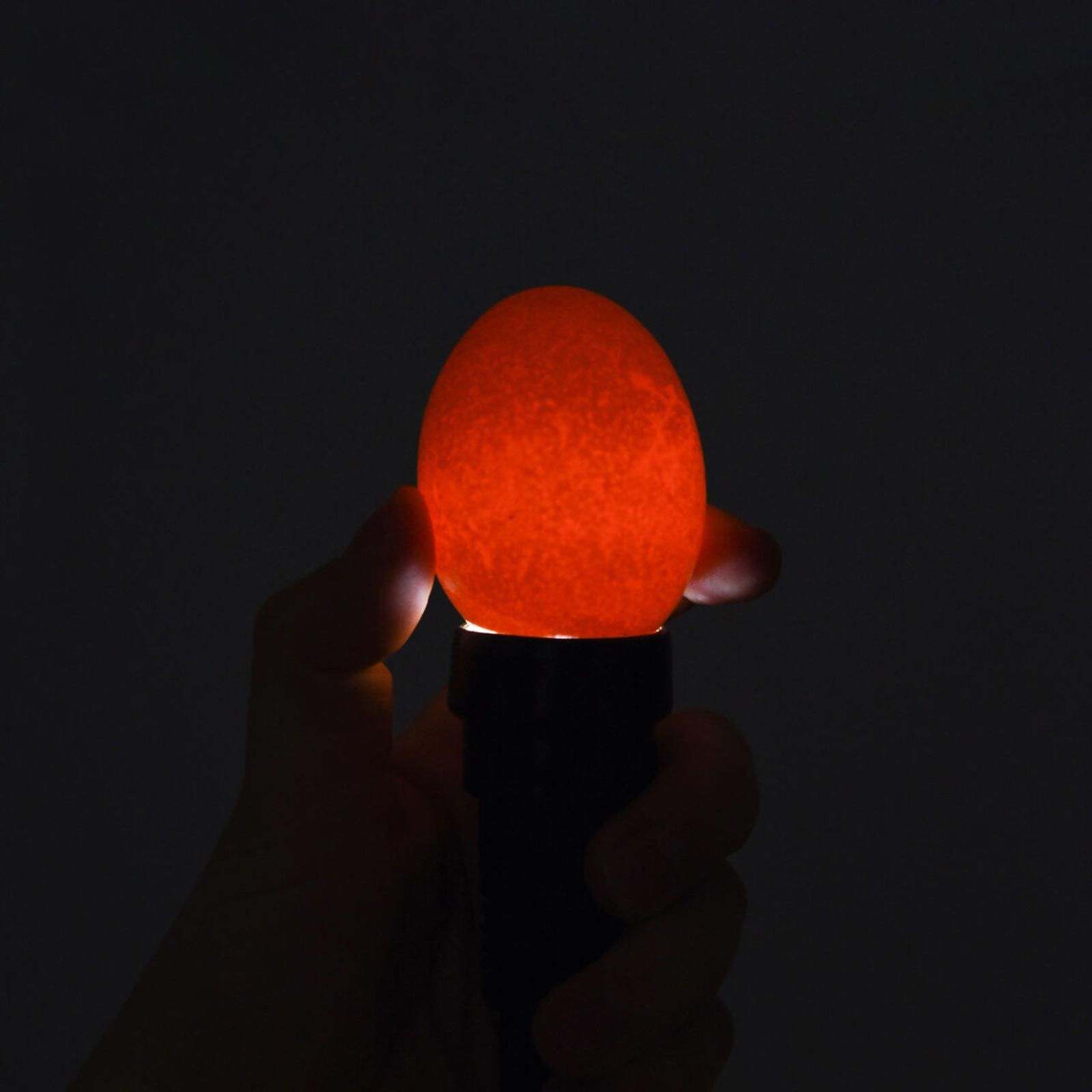 Uovo speratura con luce rossa in una mano su sfondo scuro