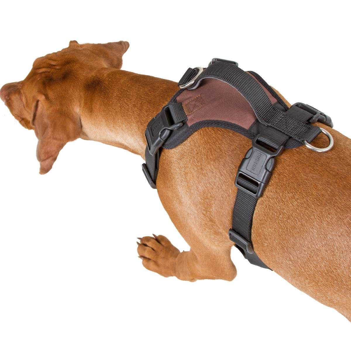Kerbl Hundegeschirr PULSIVE, verstellbar & atmungsaktiv, braun, M