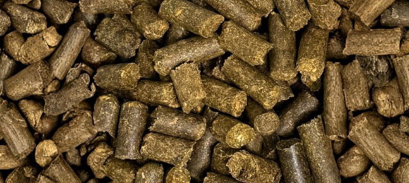 Aliment concentré pour cheval