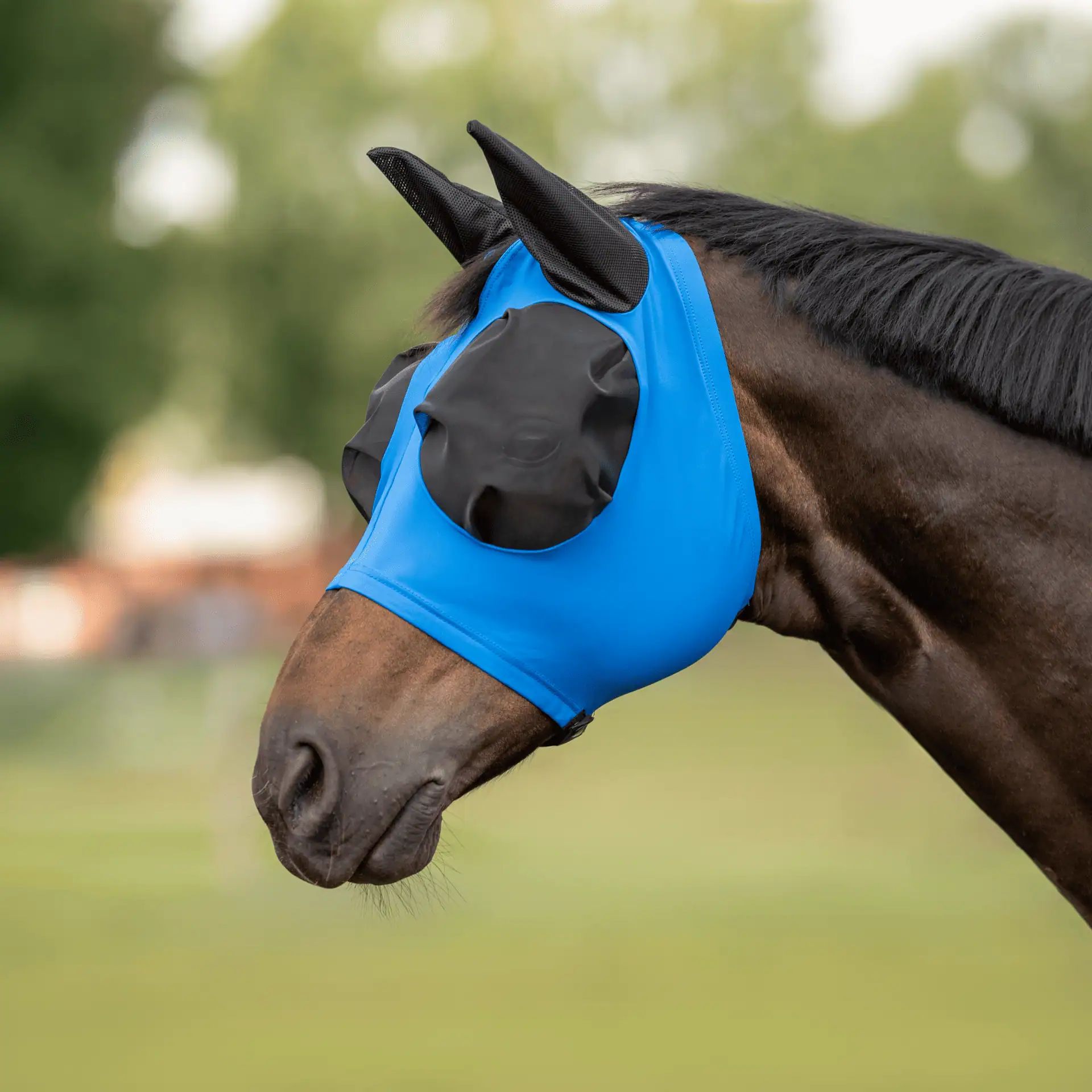 Masque anti-mouches BUSSE TWIN FIT FLEXI, protection yeux/oreilles, Shetty royal summer