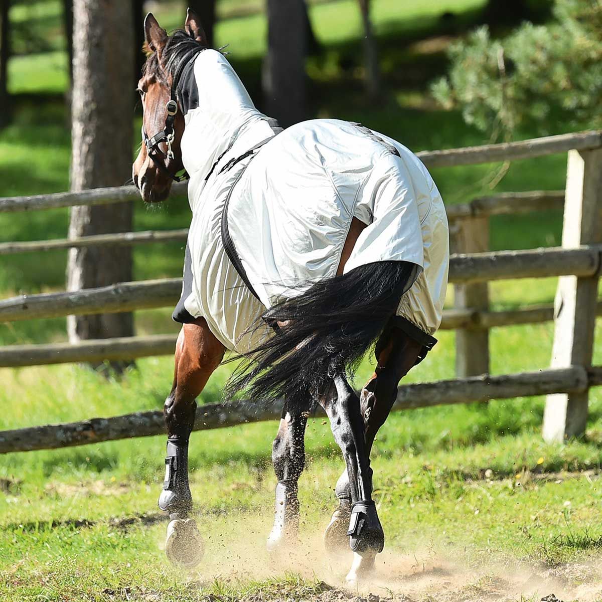 BUSSE Couverture anti-eczéma STRONG pour chevaux atteints de dermite estivale, argenté 85
