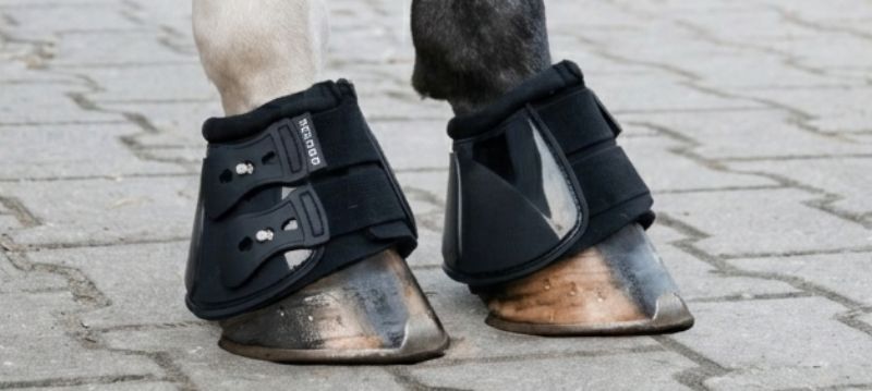 BUSSE Leg Protection