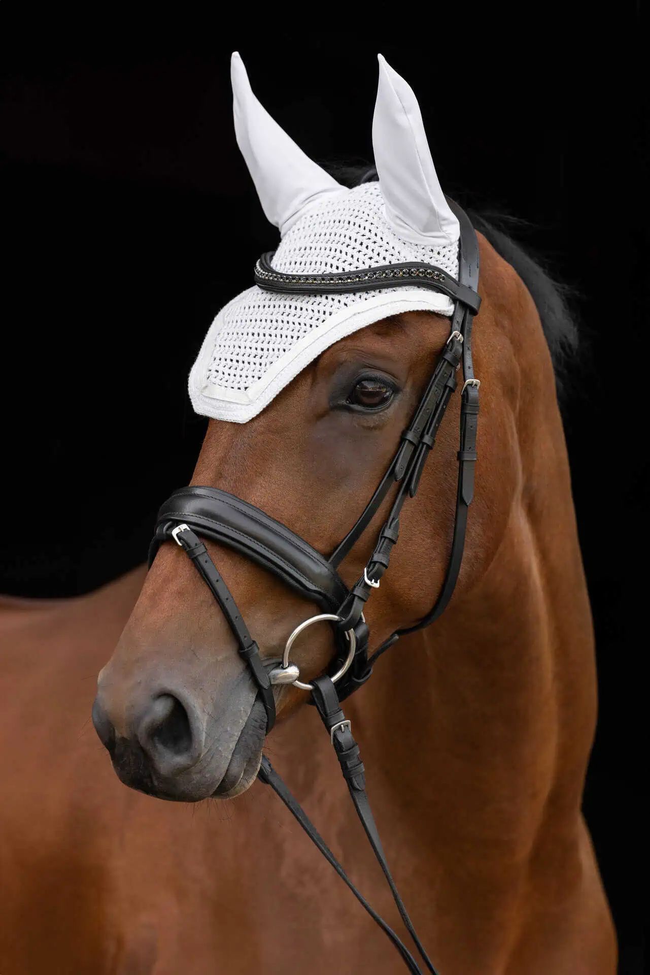 Covalliero Fliegenhaube Linea, Pony/Cob/Full, gehäkelt mit Leder-Applikation, im Einsatz