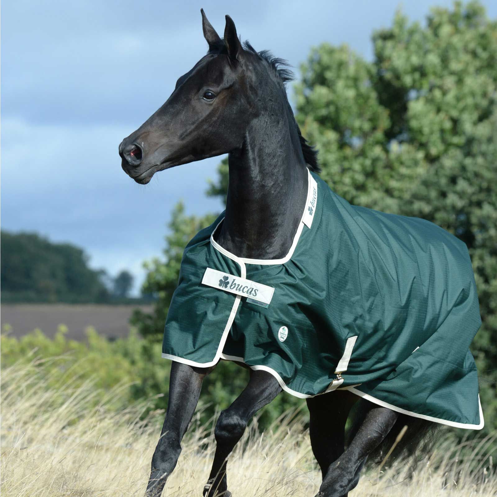 Couverture cheval Bucas Greenline Turnout 100g 130