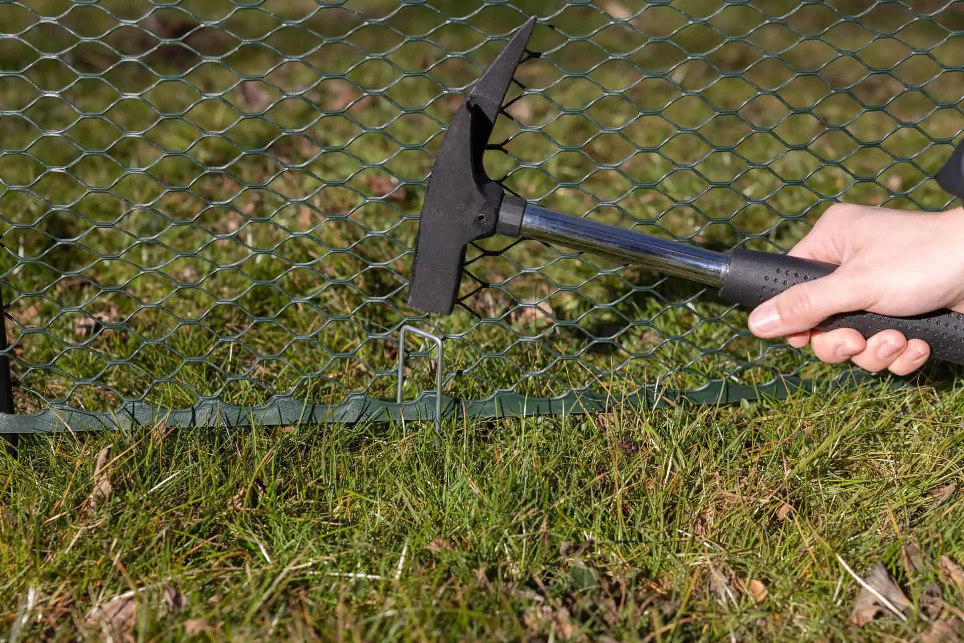 Kerbl Fjäderfänät MultiFence 90 cm x 12 m, mobilt stängsel med jordankare, i användning