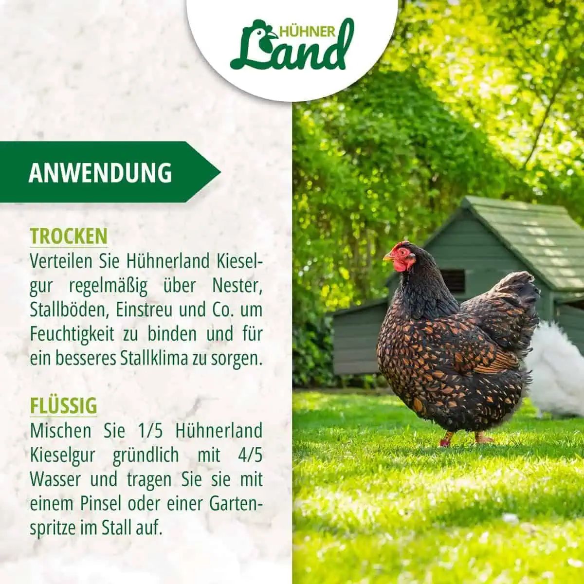 Hühnerland Természetes kovaföld 4,3 kg, alkalmazási példa