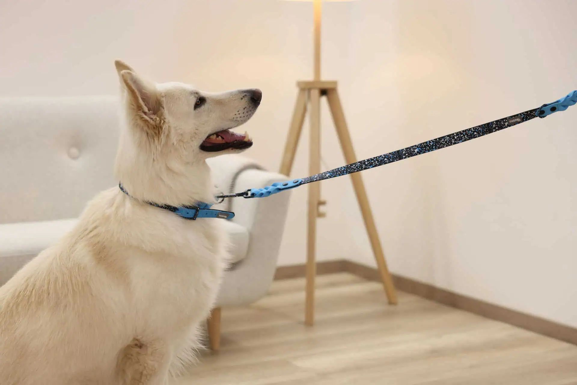 Laisse pour chien Lima Kerbl, 25 mm x 100 cm, bleu/noir