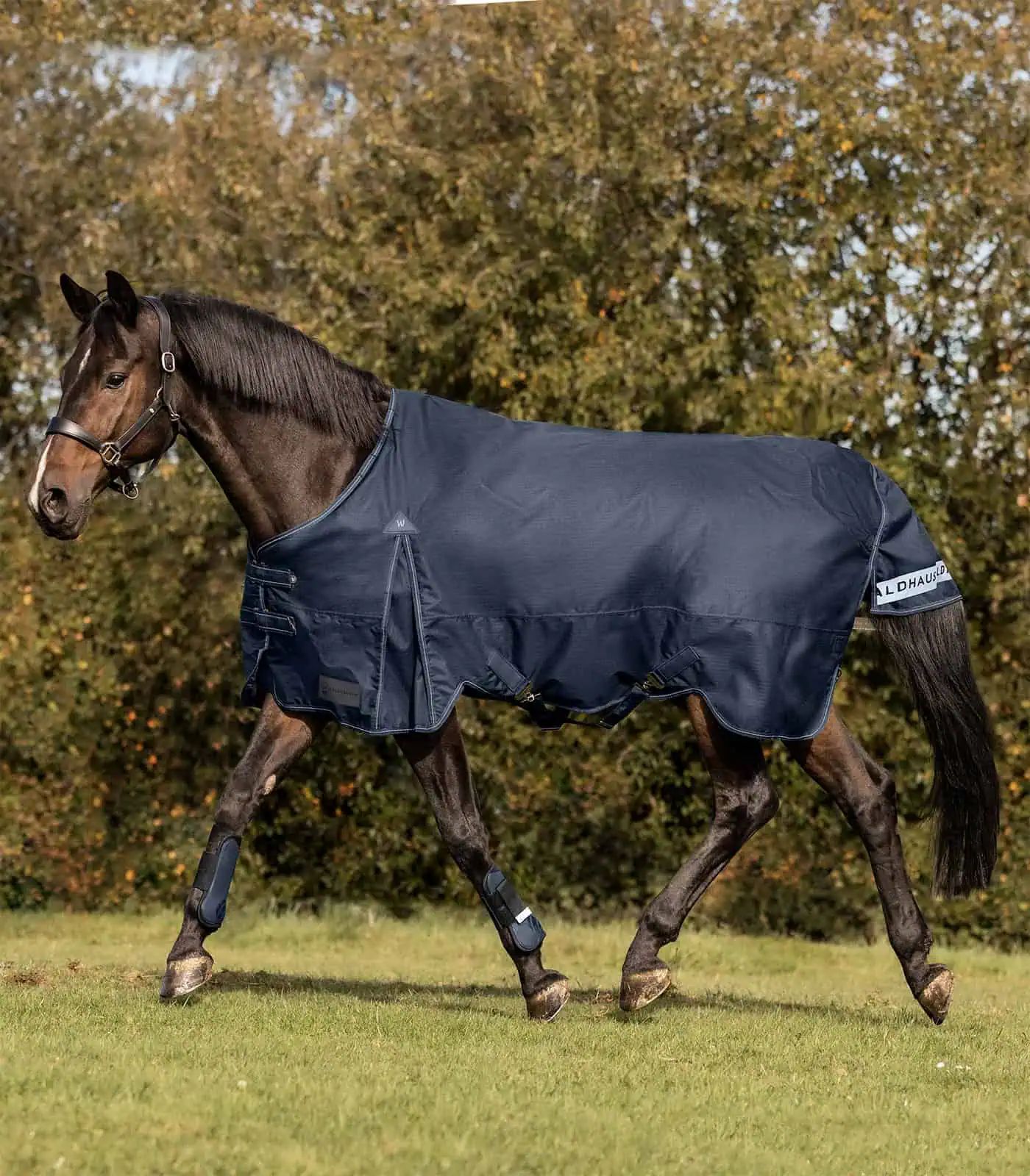 Waldhausen Couverture d'extérieur ARCTIC 100 g, imperméable, bleu nuit 125 cm