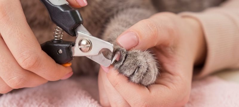 Nail Care
