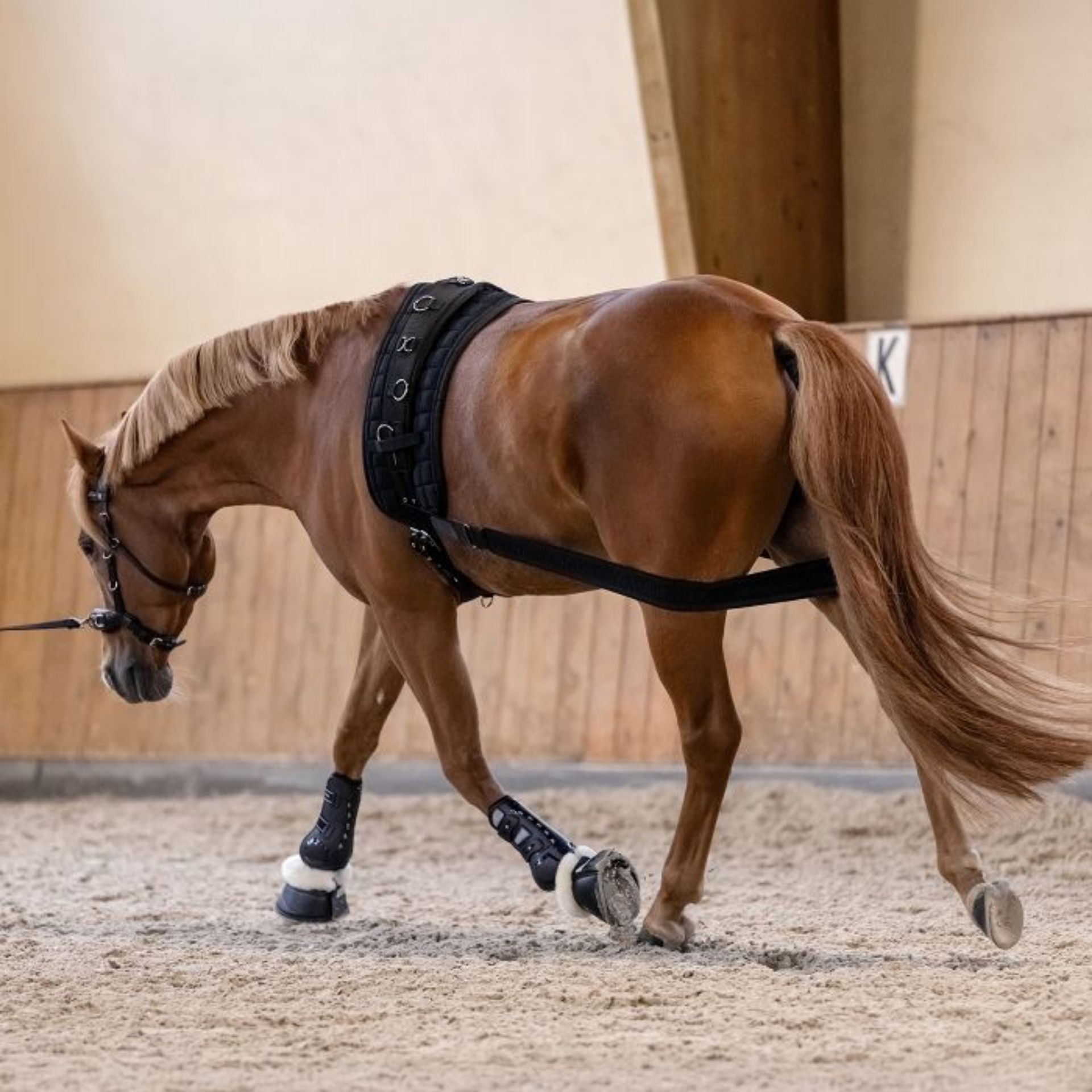 Pferd, Reitsport, Training, Zubehör, Stiefel/Schuhe