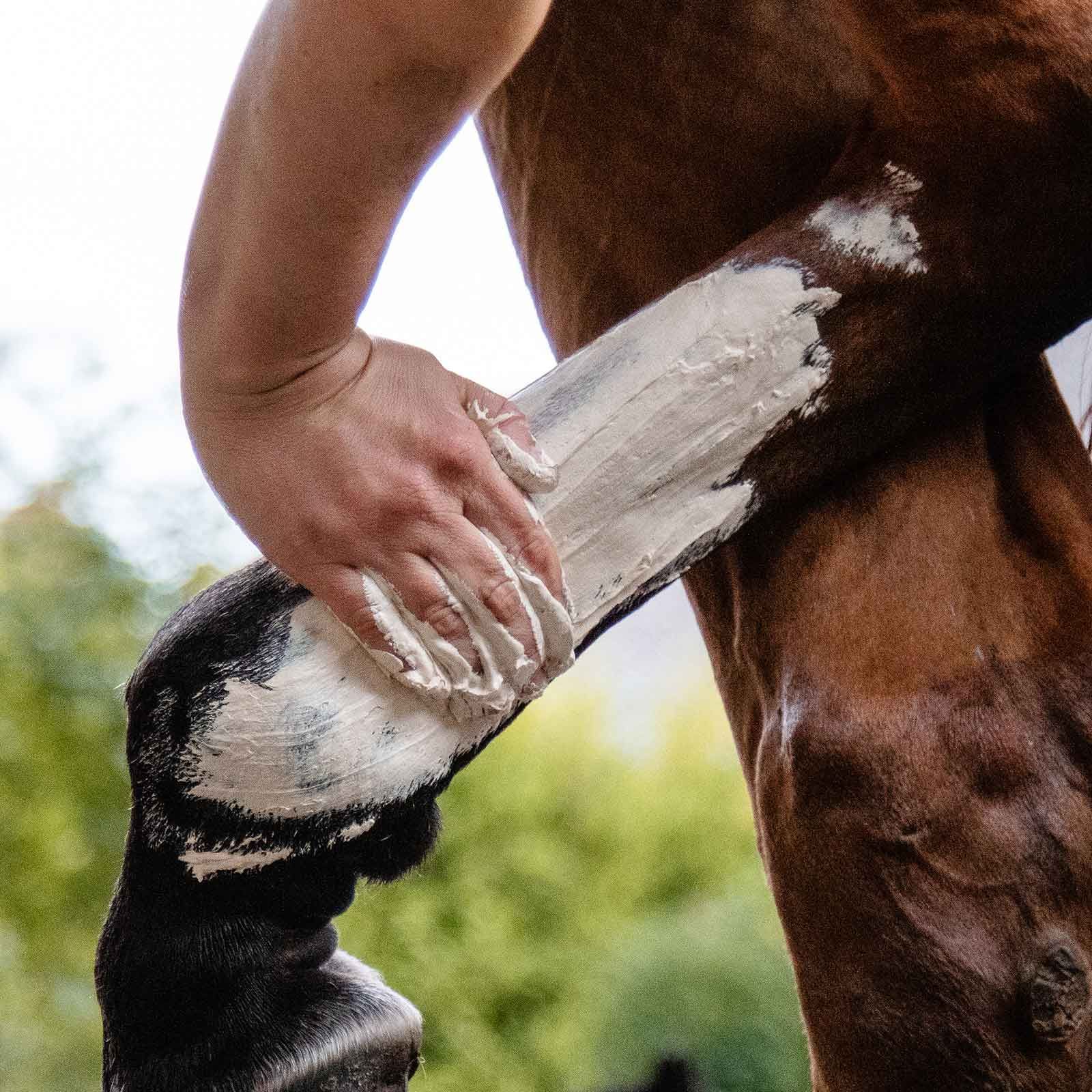 Leovet Mineral Pack Plus Arnica Clay for Horse Legs, 1500 g, in use, leg