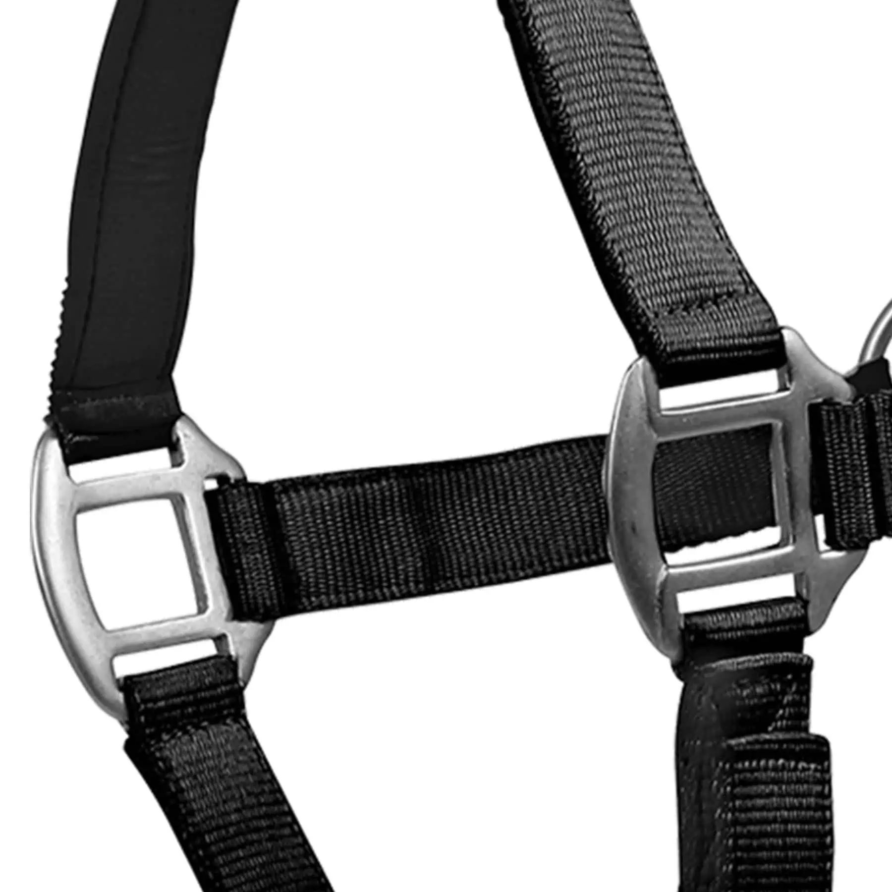 Licol Satin Waldhausen en Perlon, doublé doux et réglable, Noir, X-FULL
