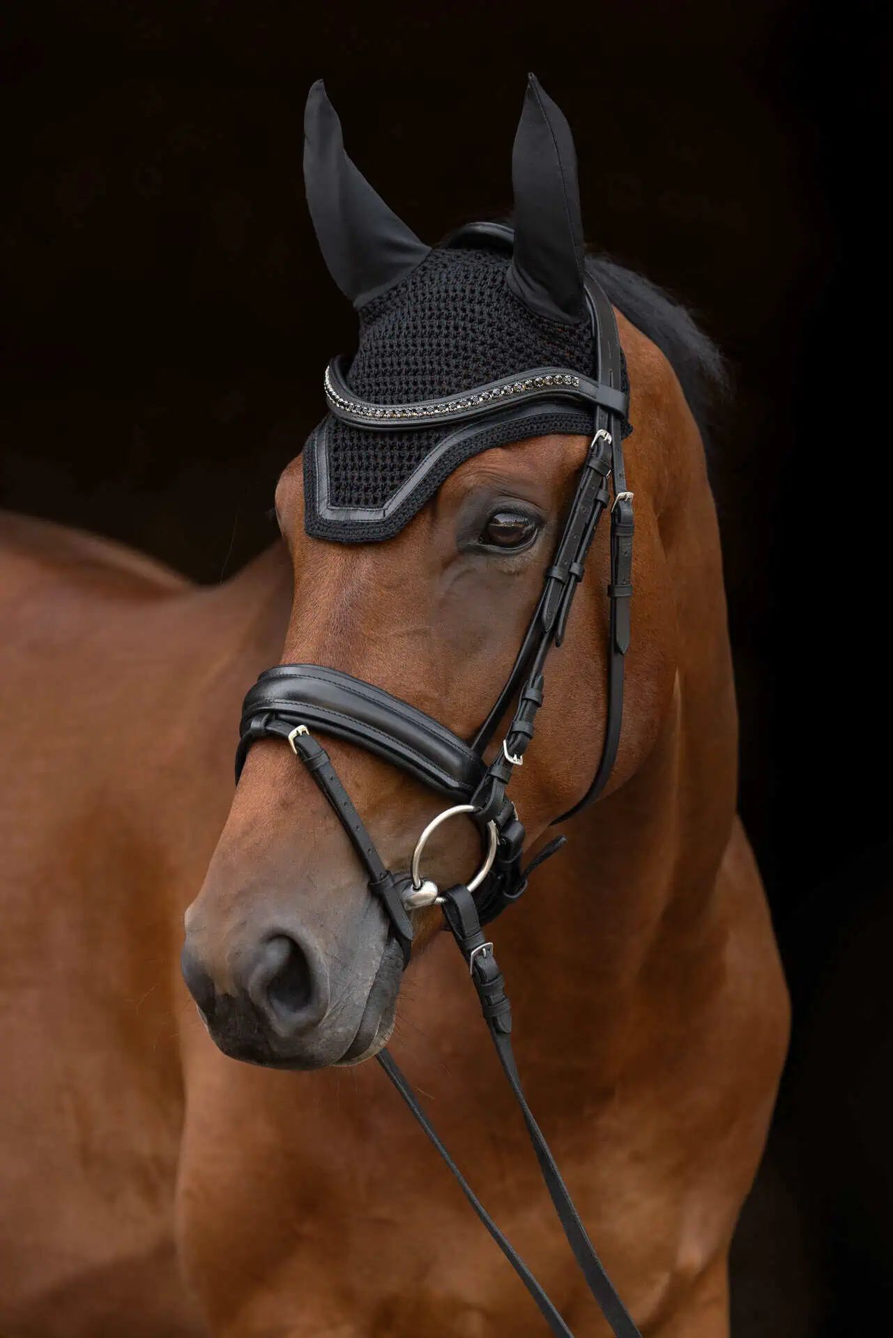 Covalliero Mască de Muște Linea, Pony/Cob/Full, croșetată cu piele, în utilizare