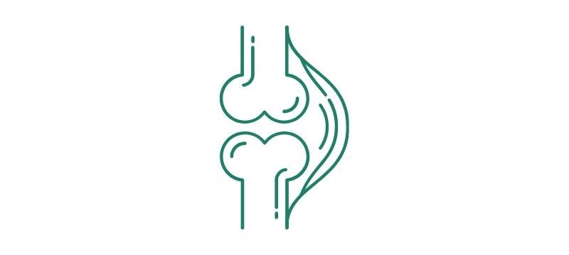 Articolazioni & Tendini