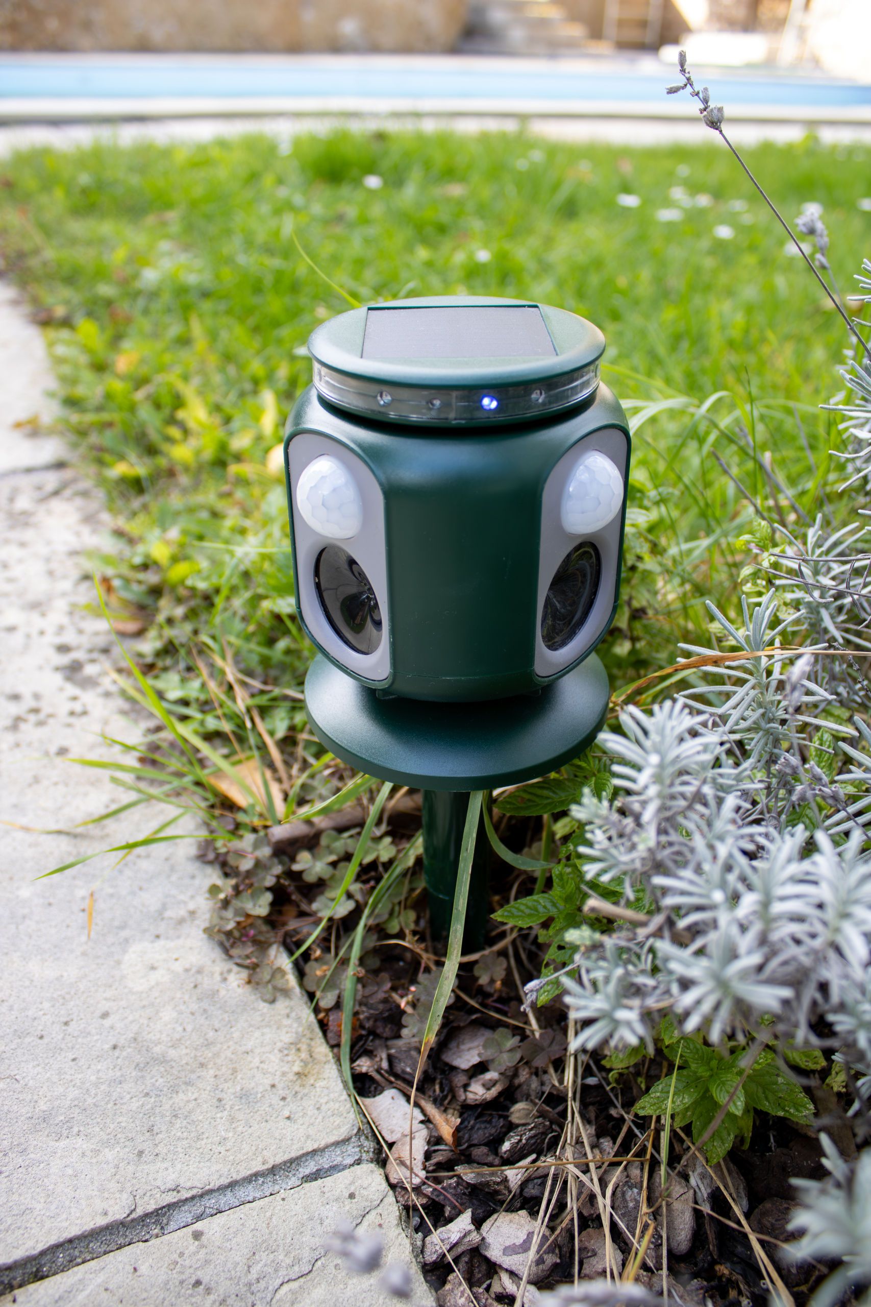 solar lantern, garden light, path light, green lantern, outdoor lighting