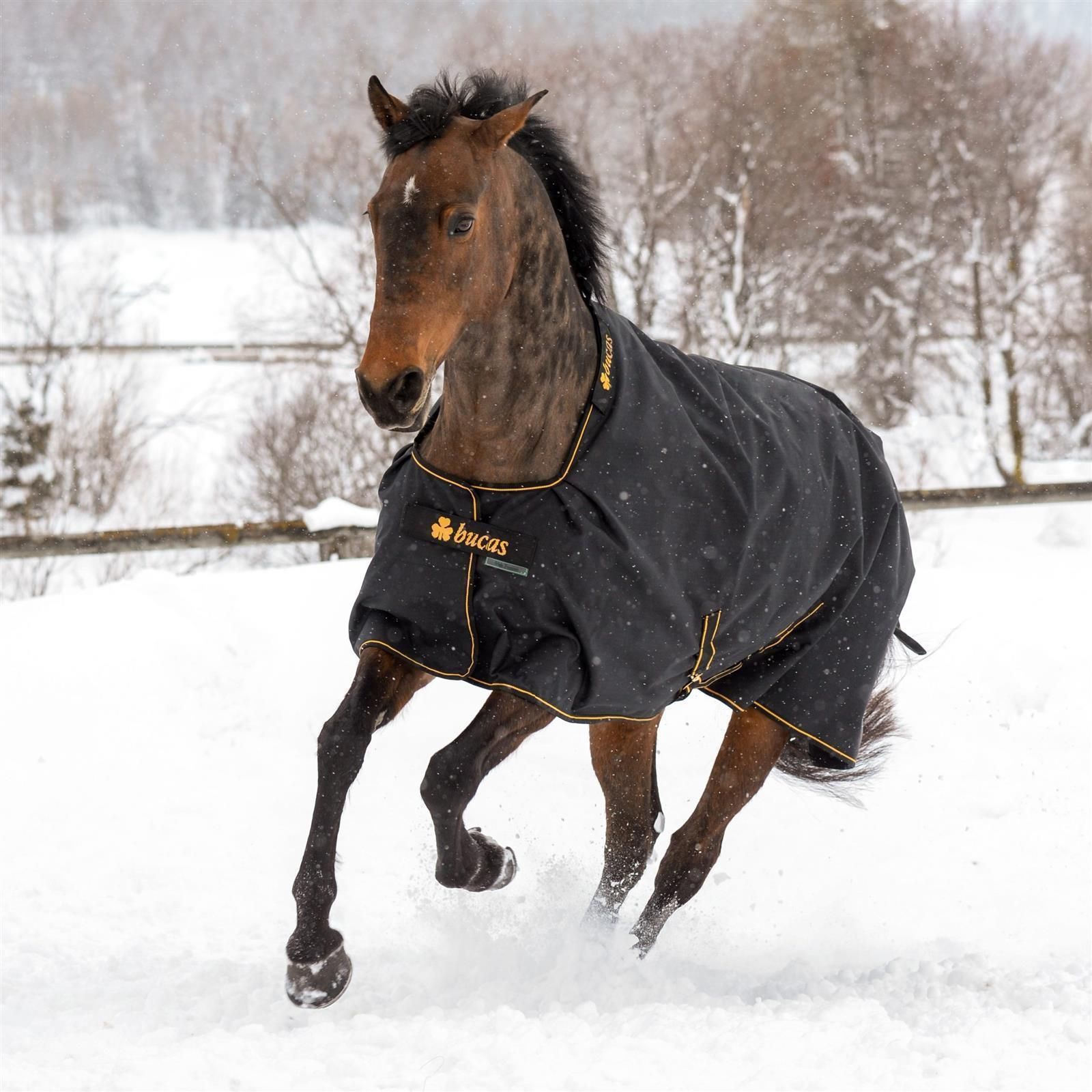 Couverture de cheval Bucas Irish Turnout 150g 135