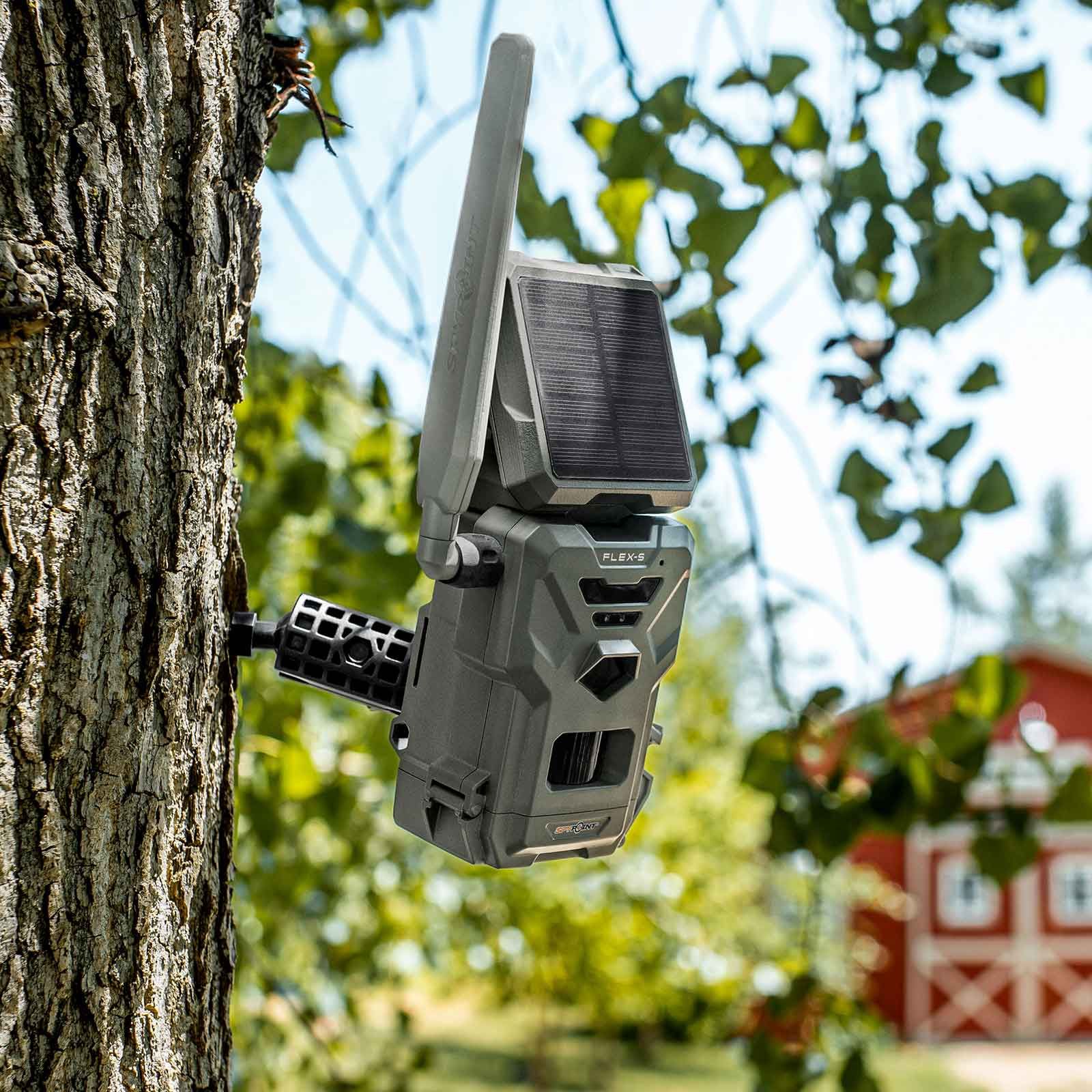Spypoint Wildkamera FLEX-S mit Solarpanel, 36 MP, LTE, im Einsatz