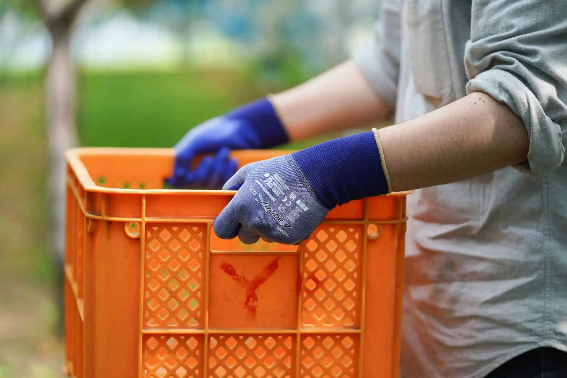 Kerbl Arbeitshandschuh MagneX 538 NanoFinish, wasserdicht griffig, im Einsatz, in der Hand