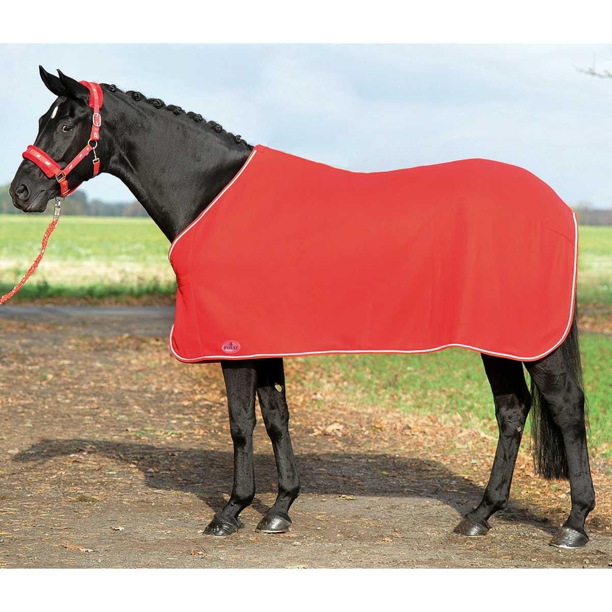 Schwarzes Pferd mit roter Abschwitzdecke und Halfter steht auf einem Weg vor einer Wiese