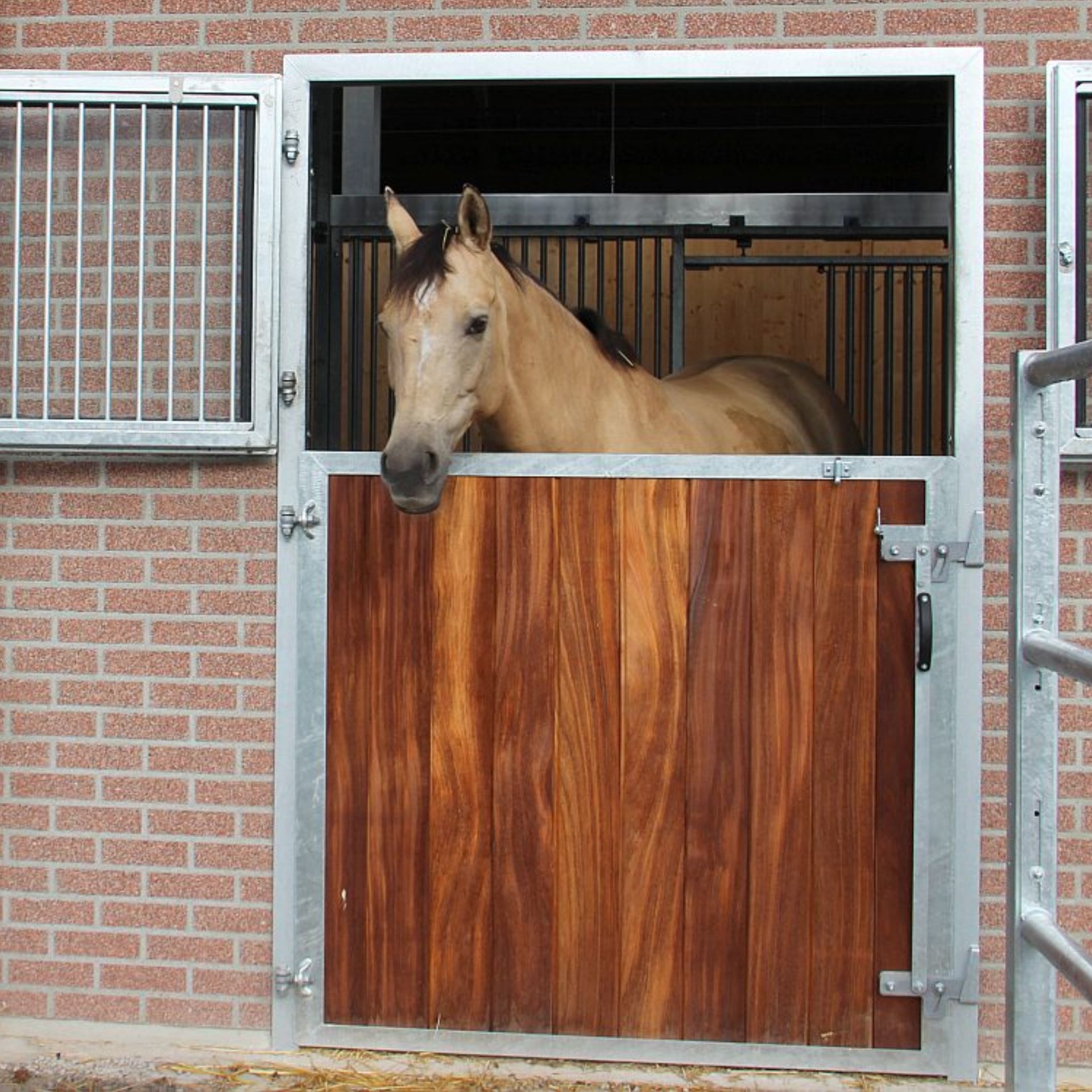 Pferd, Stall, Stallverkleidung, Holztor, Backsteinwand