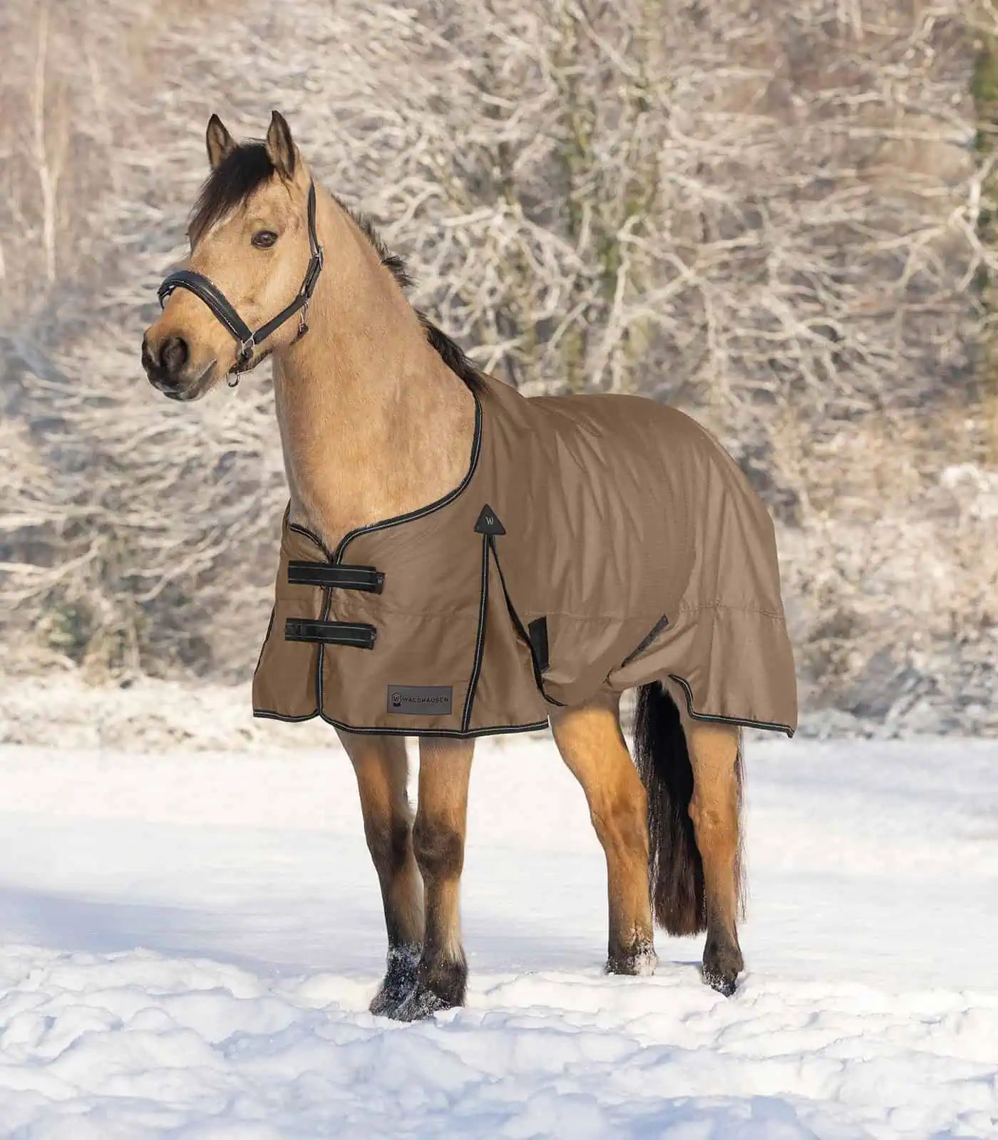 Waldhausen Couverture extérieure ARCTIC, 300 g imperméable, cappuccino/noir 135 cm
