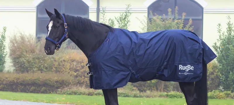 Couverture imperméable pour chevaux
