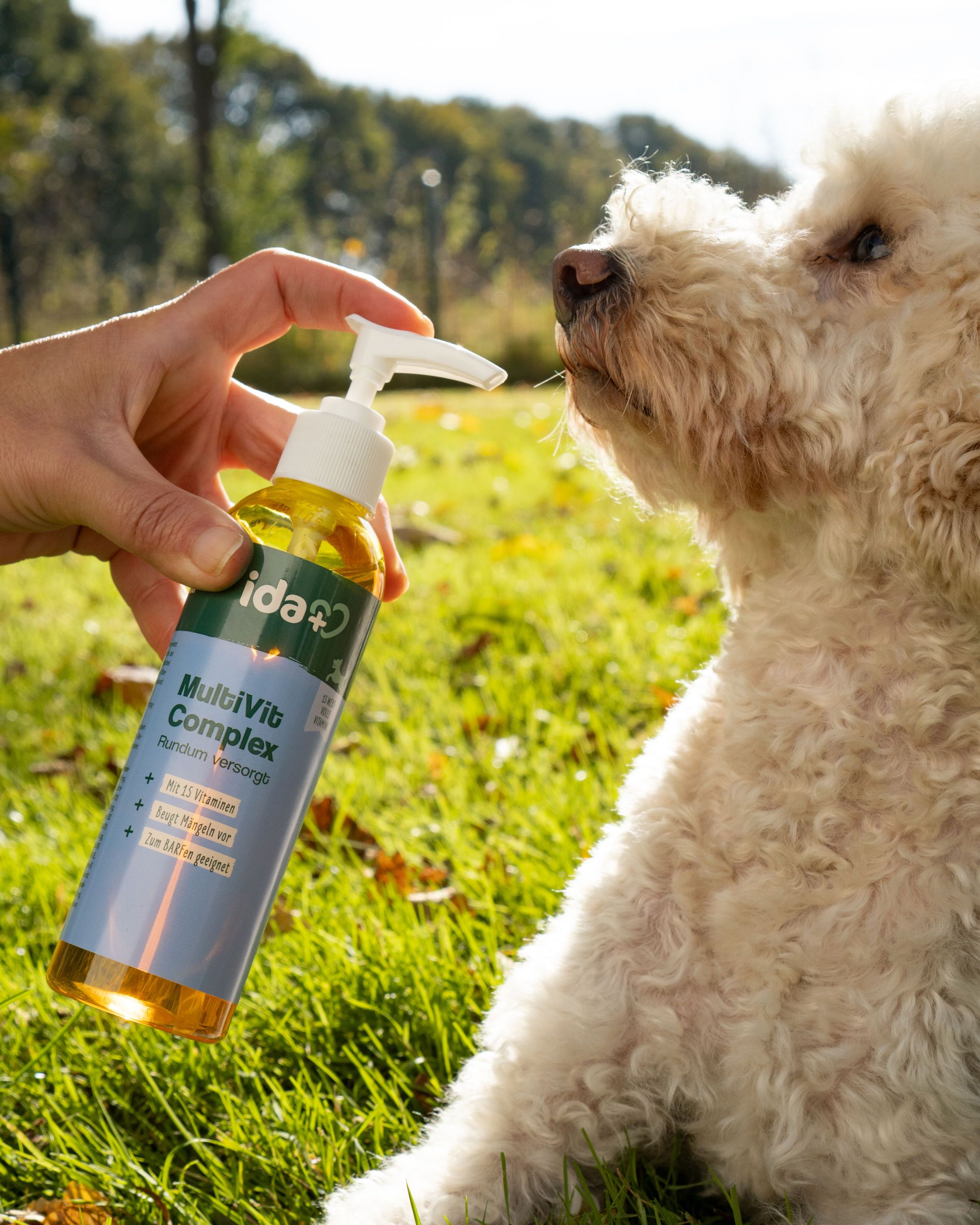 hund, haustierpflege, flasche, spray, gesundheit