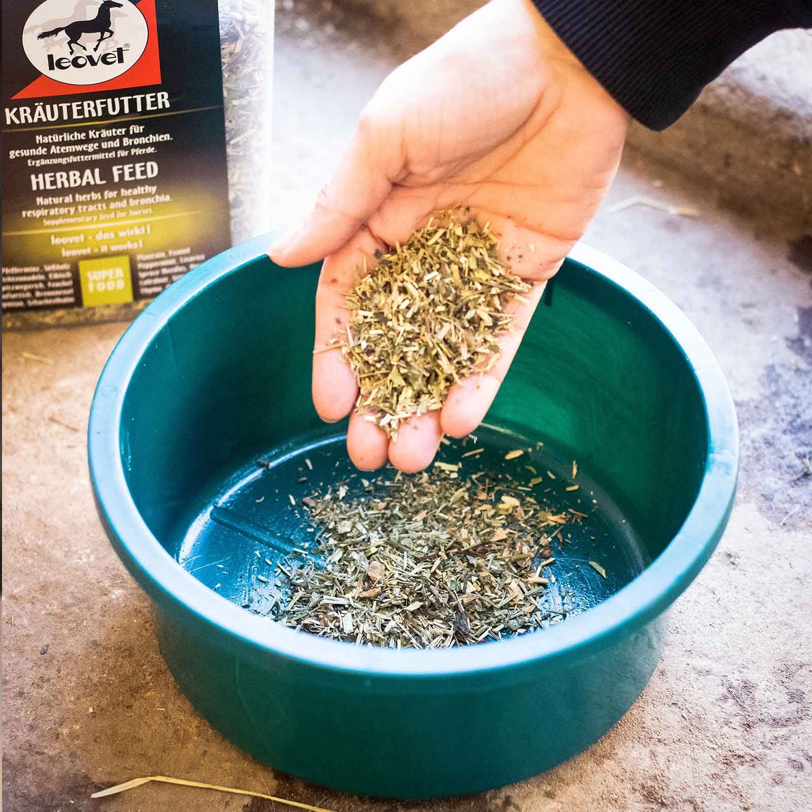 leovet Herbal Feed Supplement for Horses with 9 Long-Tested Herbs, 800 g, application example, held in hand