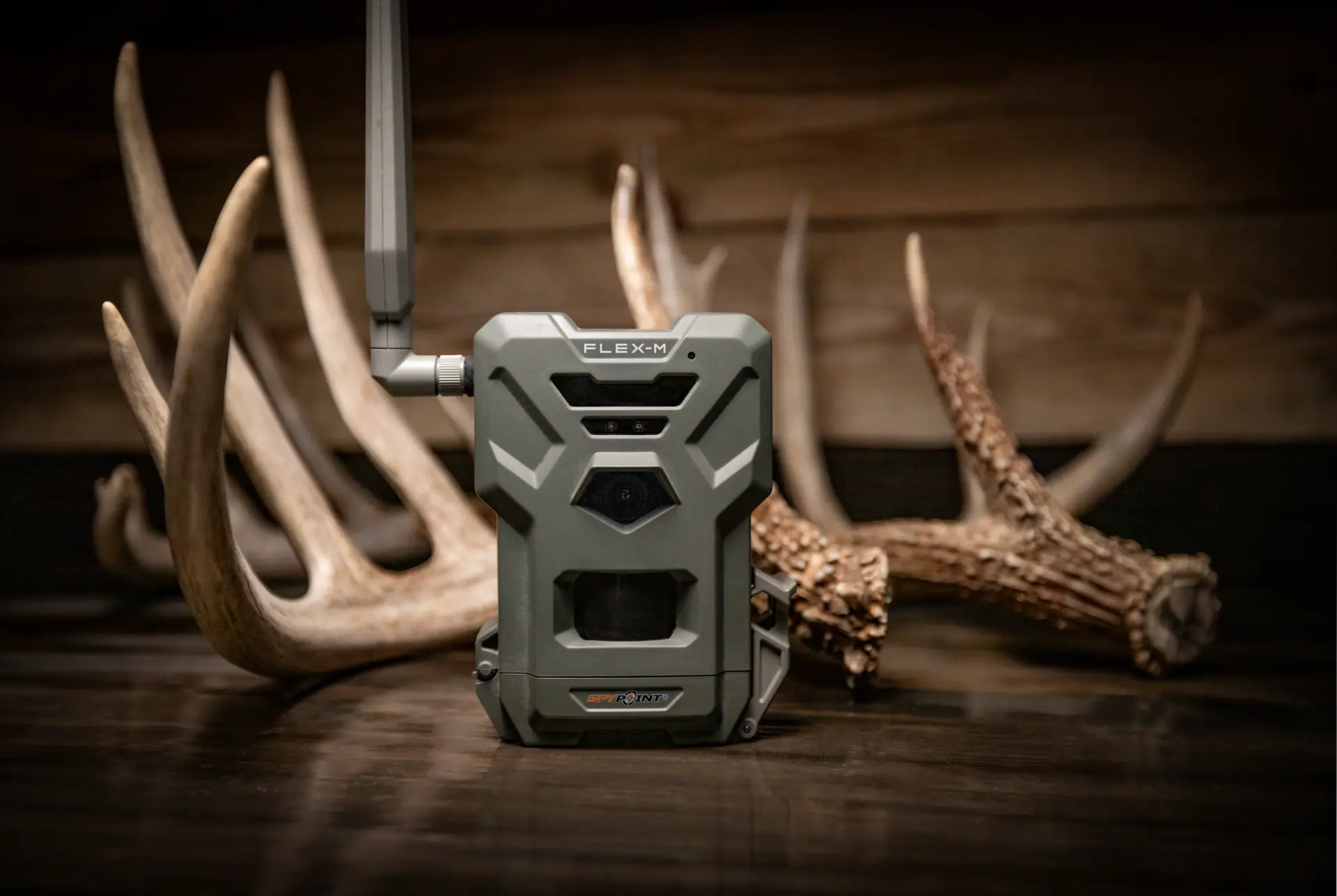 Wildkamera mit Antenne steht auf Holztisch, umgeben von Hirschgeweihen