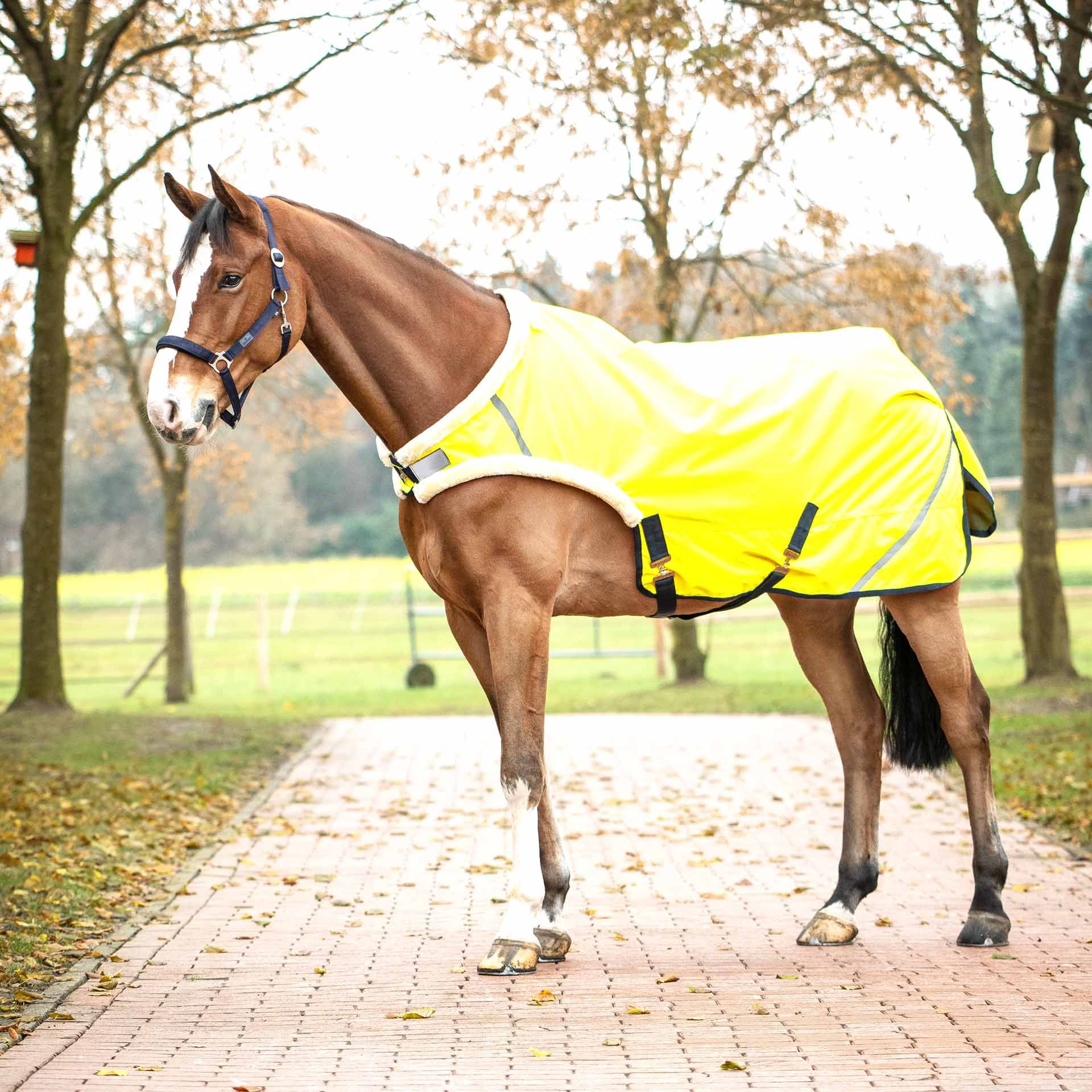 Couverture de marche SHINE 50 BUSSE