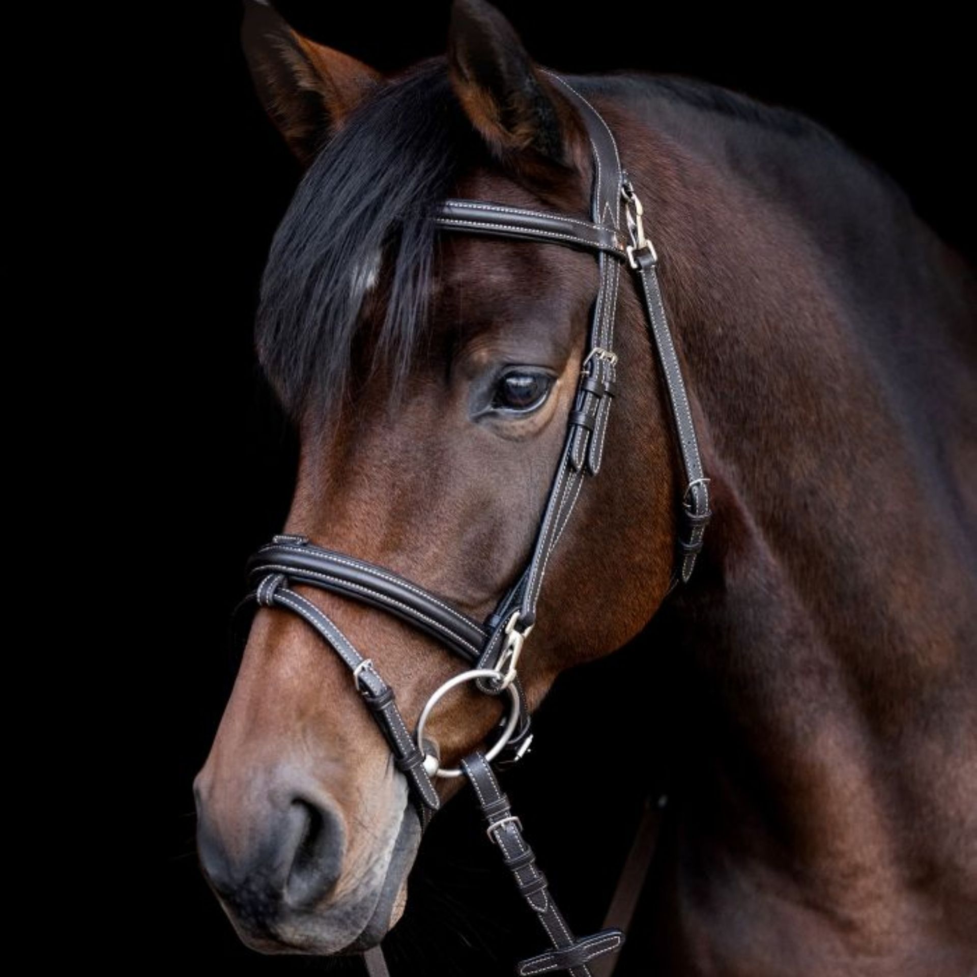 Waldhausen X-Line Trensenzaum Work, Pony, anatomisches Genickstück, Seitenansicht