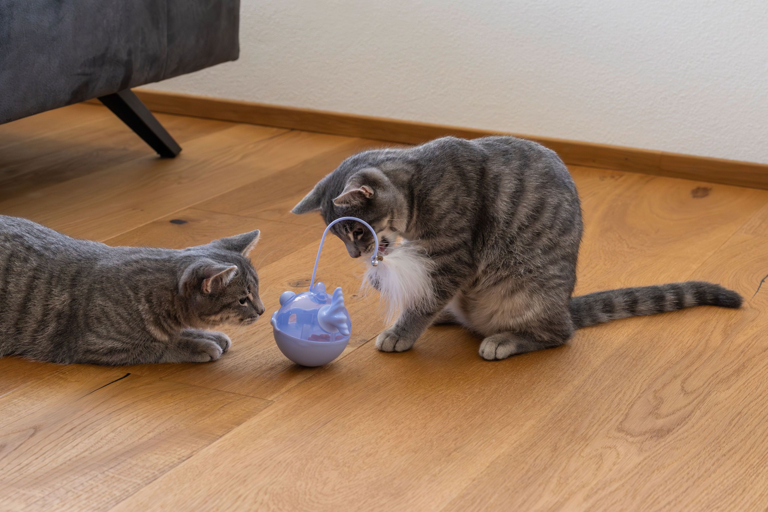 Kerbl Snackball Fisch für Katzen, befüllbar, flieder