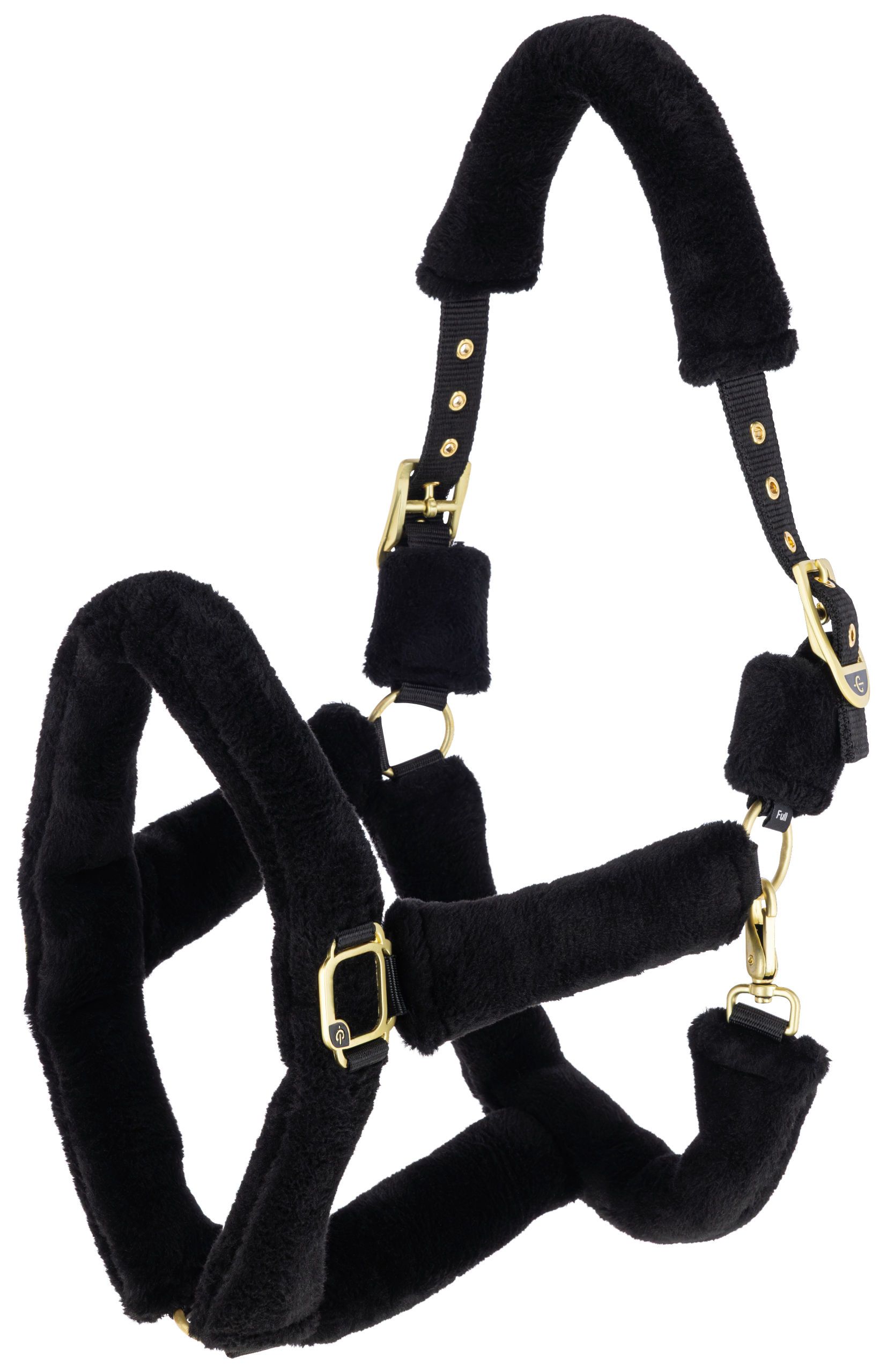 halter, bridle, black, fleece, gold hardware