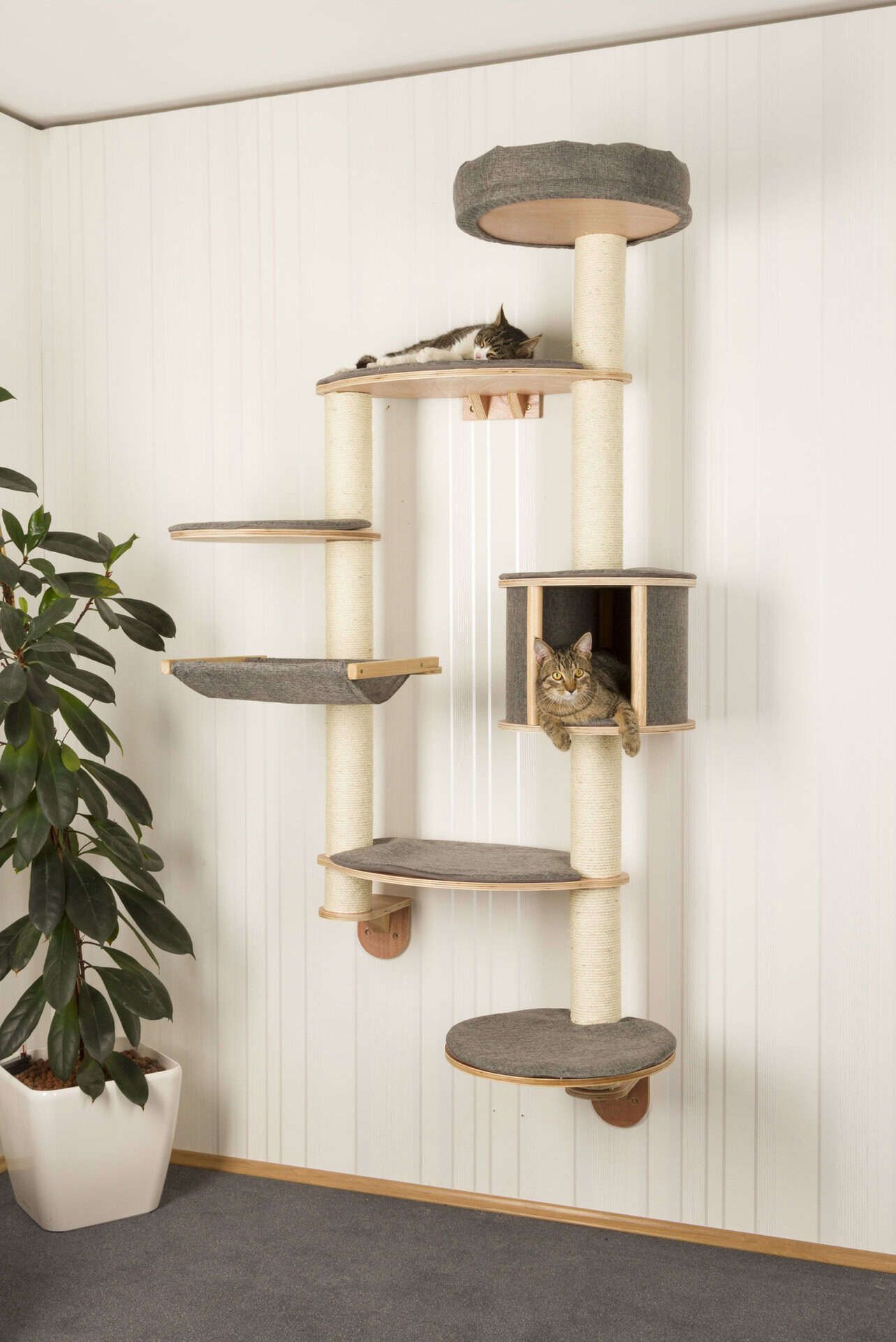 Kerbl Arbre à Chat Mural Dolomit XL Tofana, 185 x 115 cm, en utilisation