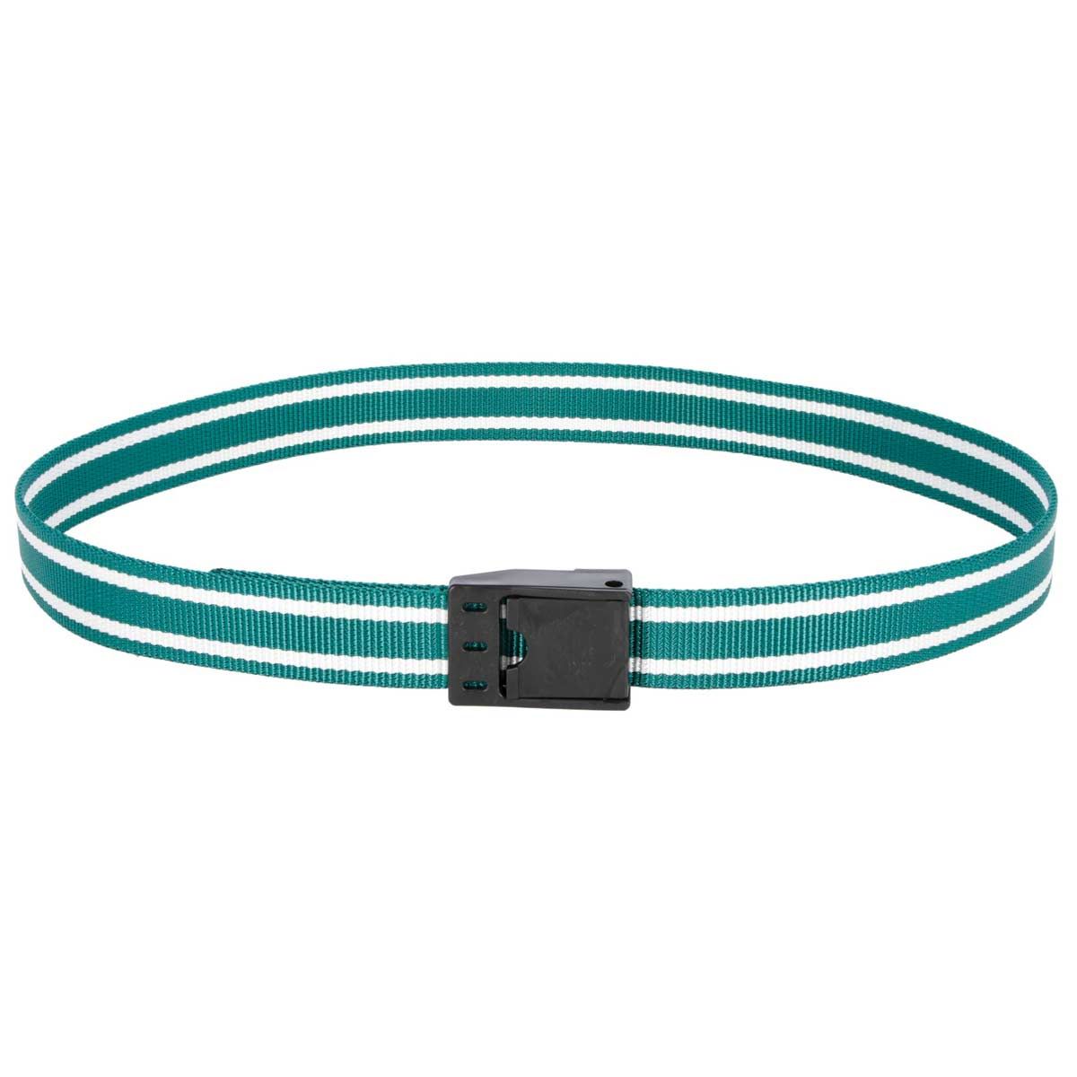 Kerbl Collier de marquage pour bovins avec fermeture à pince, vert-blanc 130 cm