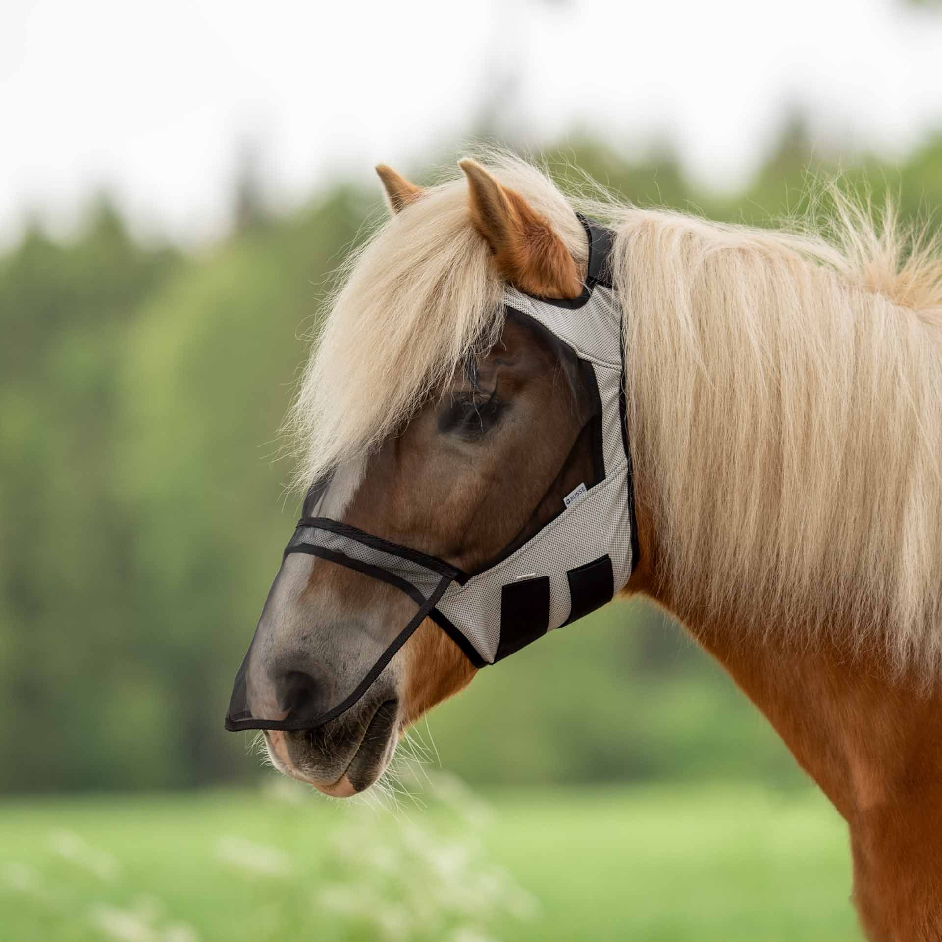 BUSSE Fly Mask FLY GUARD FREE PLUS, Without Ear Cover, UV Protection, in use