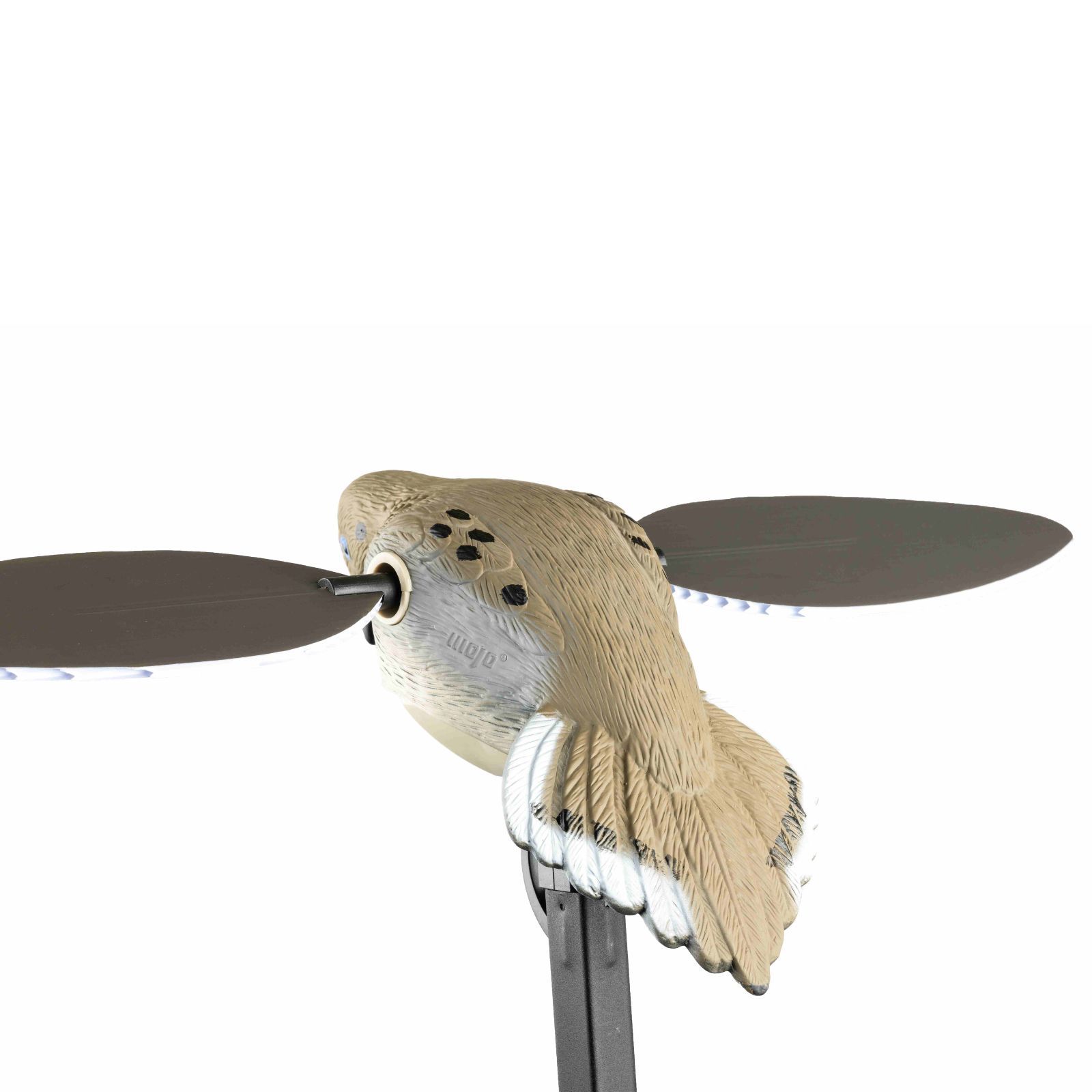 Mojo ES Dove Taubenattrappe, Detailansicht