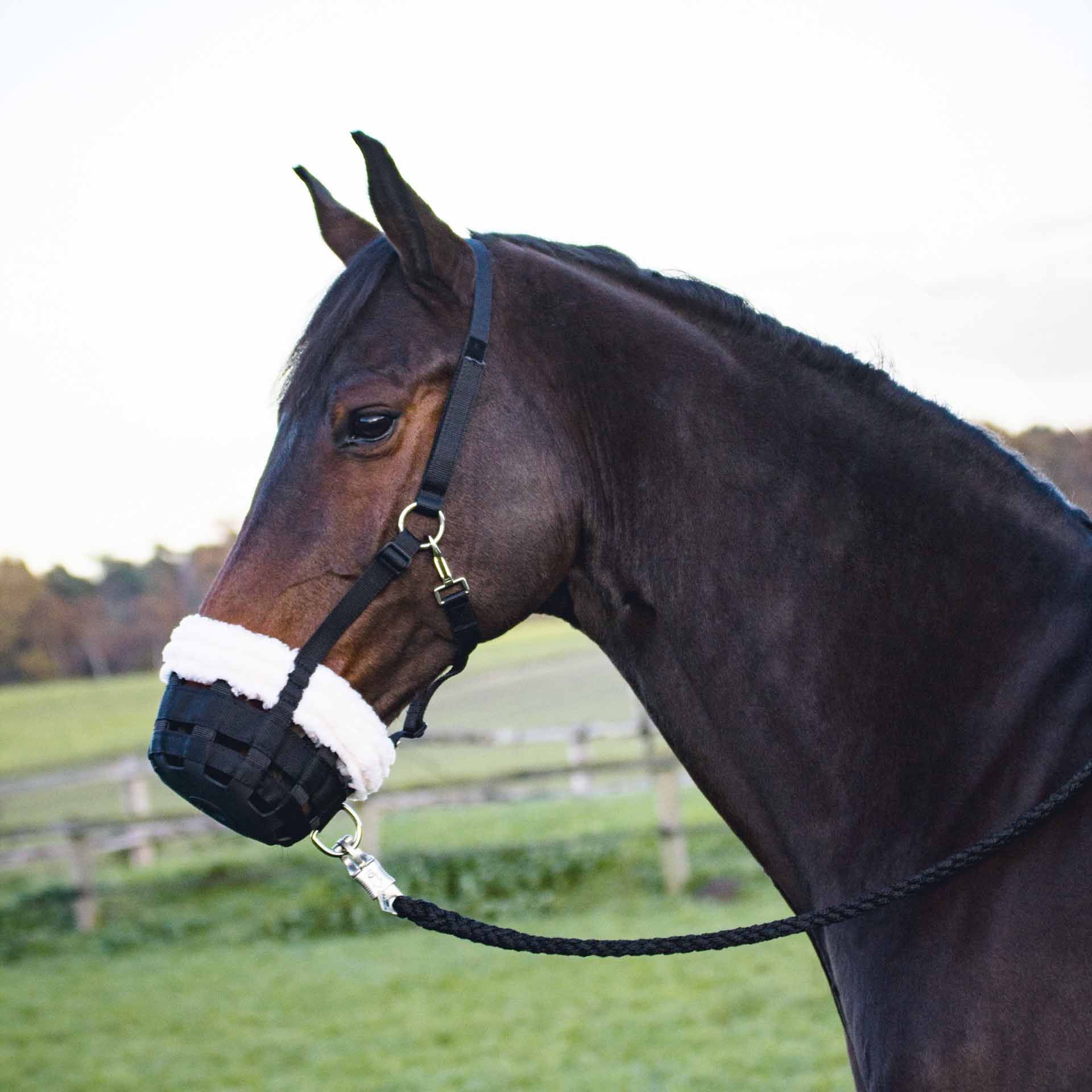 BUSSE FEEDING BRAKE COMFY Shetty negru (cremă