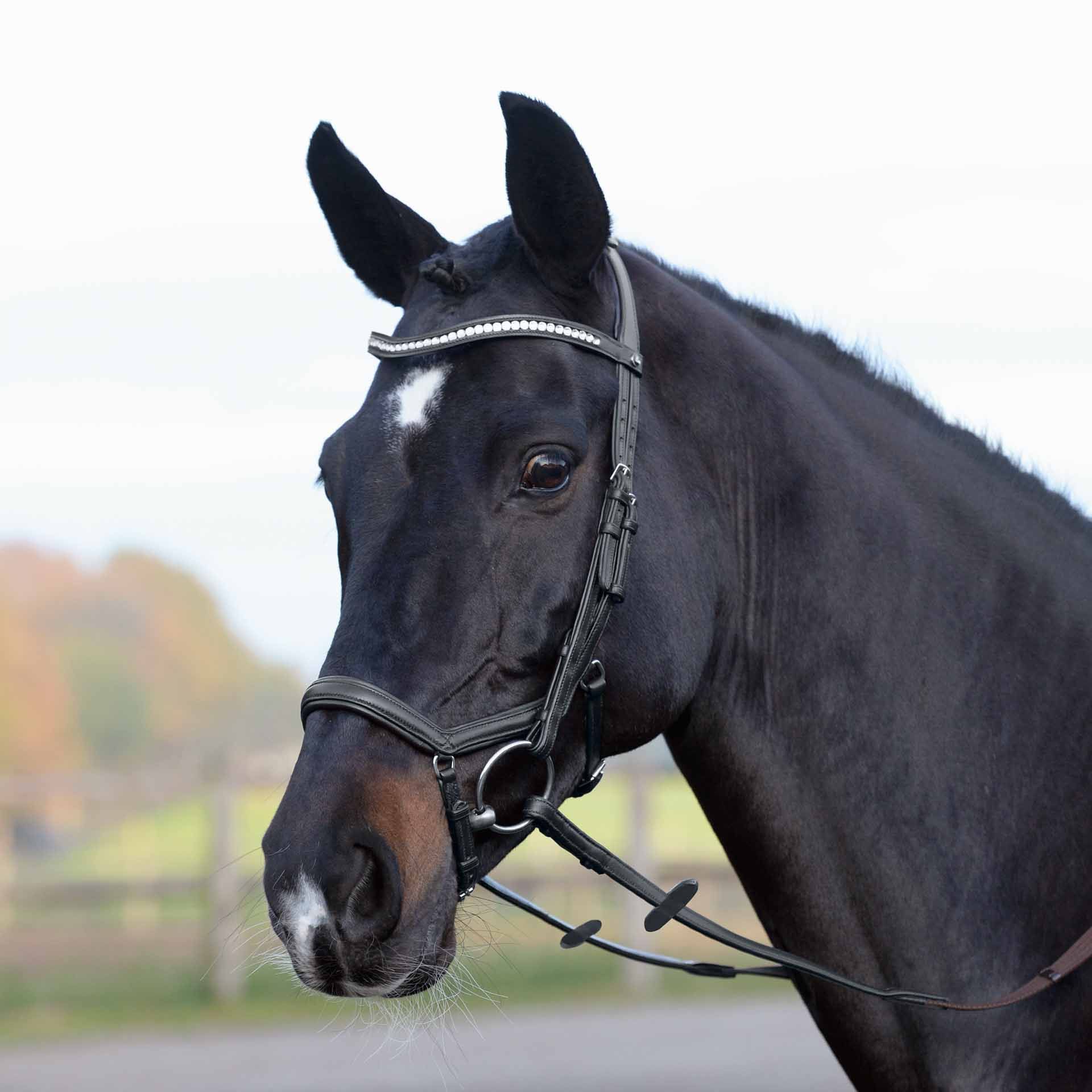 BUSSE Bridle EMOTION Anatomical Soft-Leather Bridle
