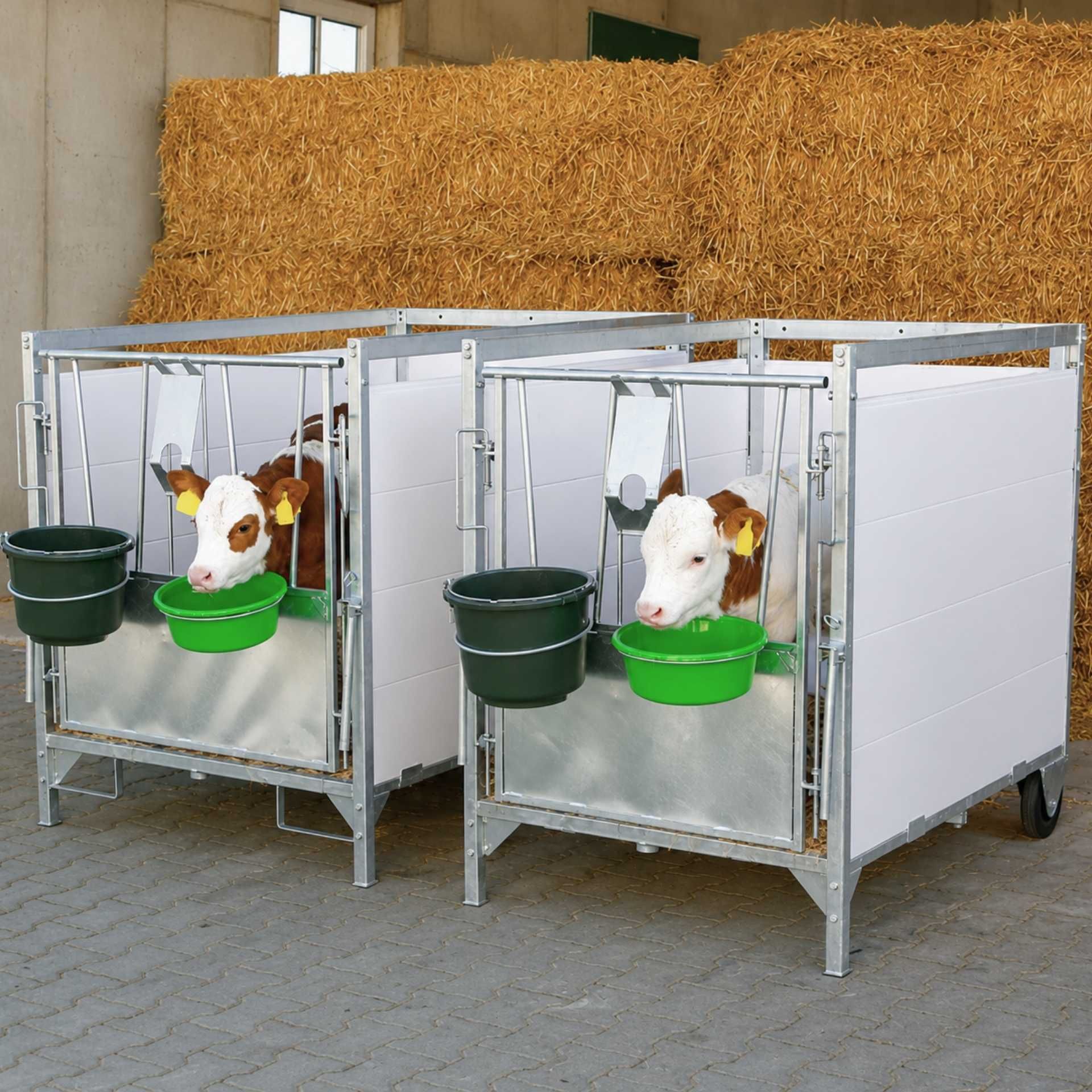 Rinder Stall, Kälberstall, Metallrahmen, Halle, grüner Futtereimer