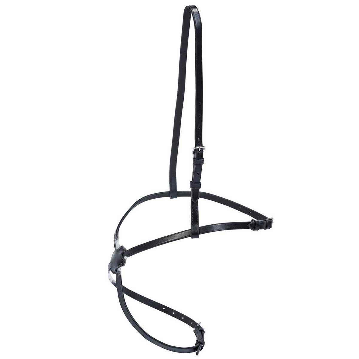 BUSSE Caveson mexico