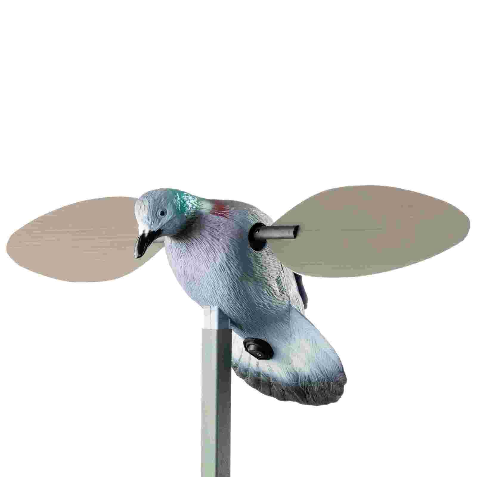 Mojo leurre Pigeon, Pigeon ramier