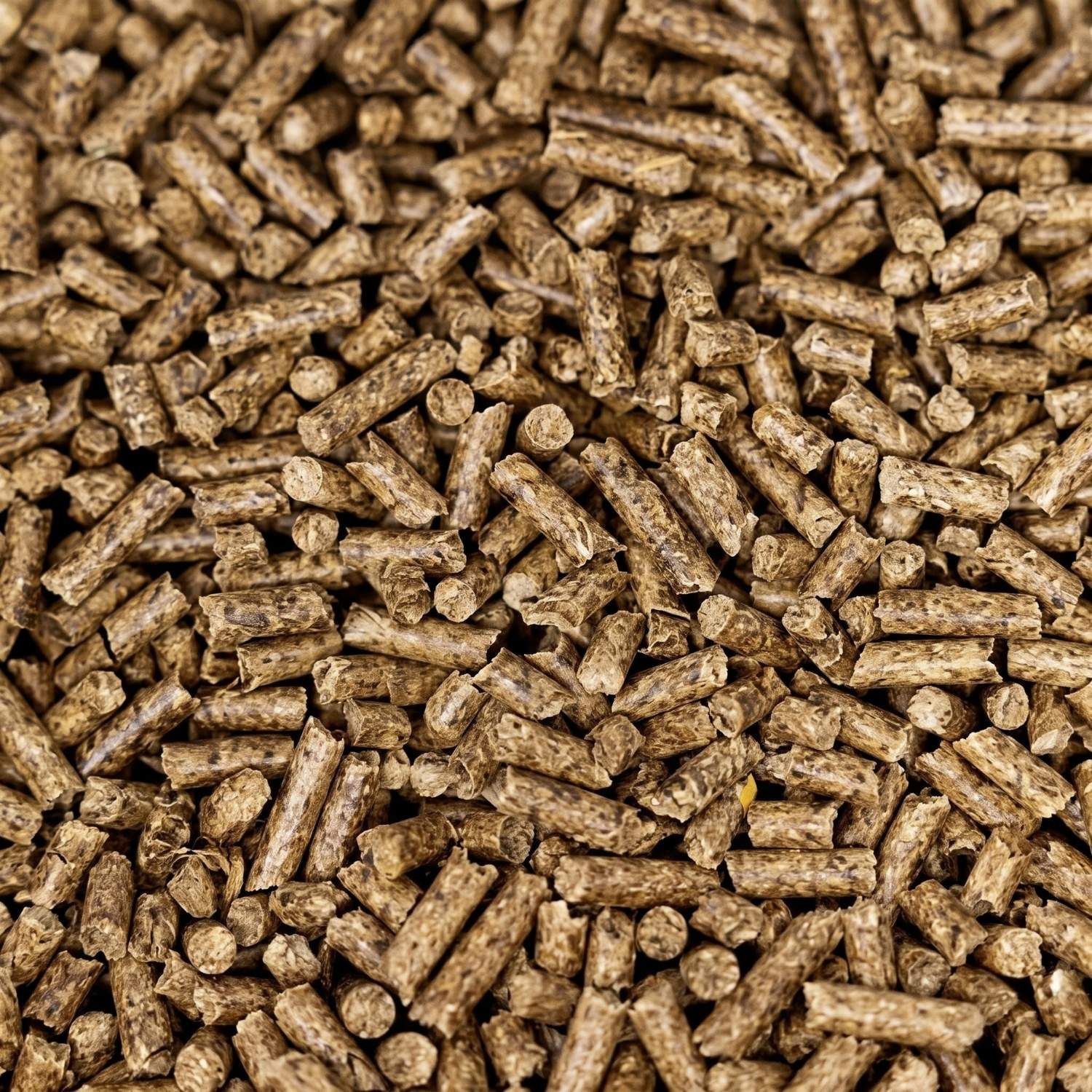 Prim-plan cu peletele pentru oi, pelete compacte de 4,5 mm