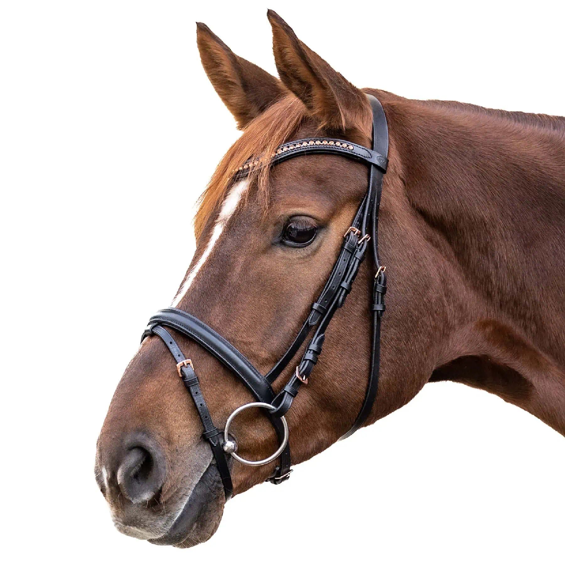 STAR Bridon Rosemary, combiné anglais, avec rênes incluses, vue de côté
