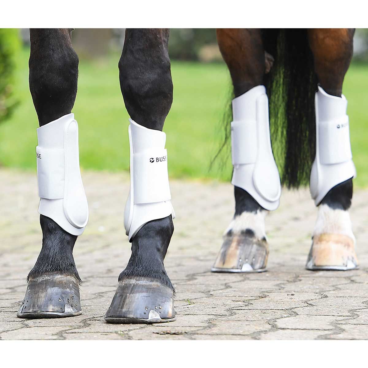 BUSSE Tendon Boots ACTIVE-PRO, Brushing & Impact Protection for Horses, in use, leg