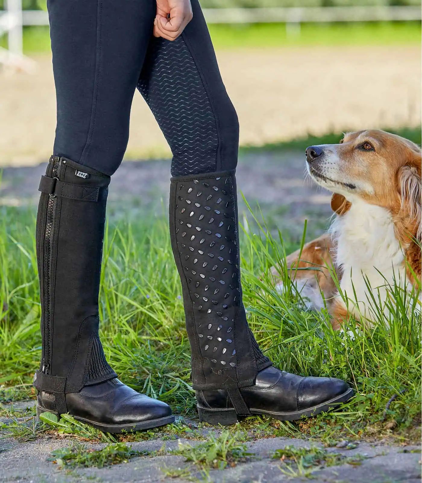 ELT Mini Chaps Daily Silikon, Reitgamaschen mit Silikon-Grip