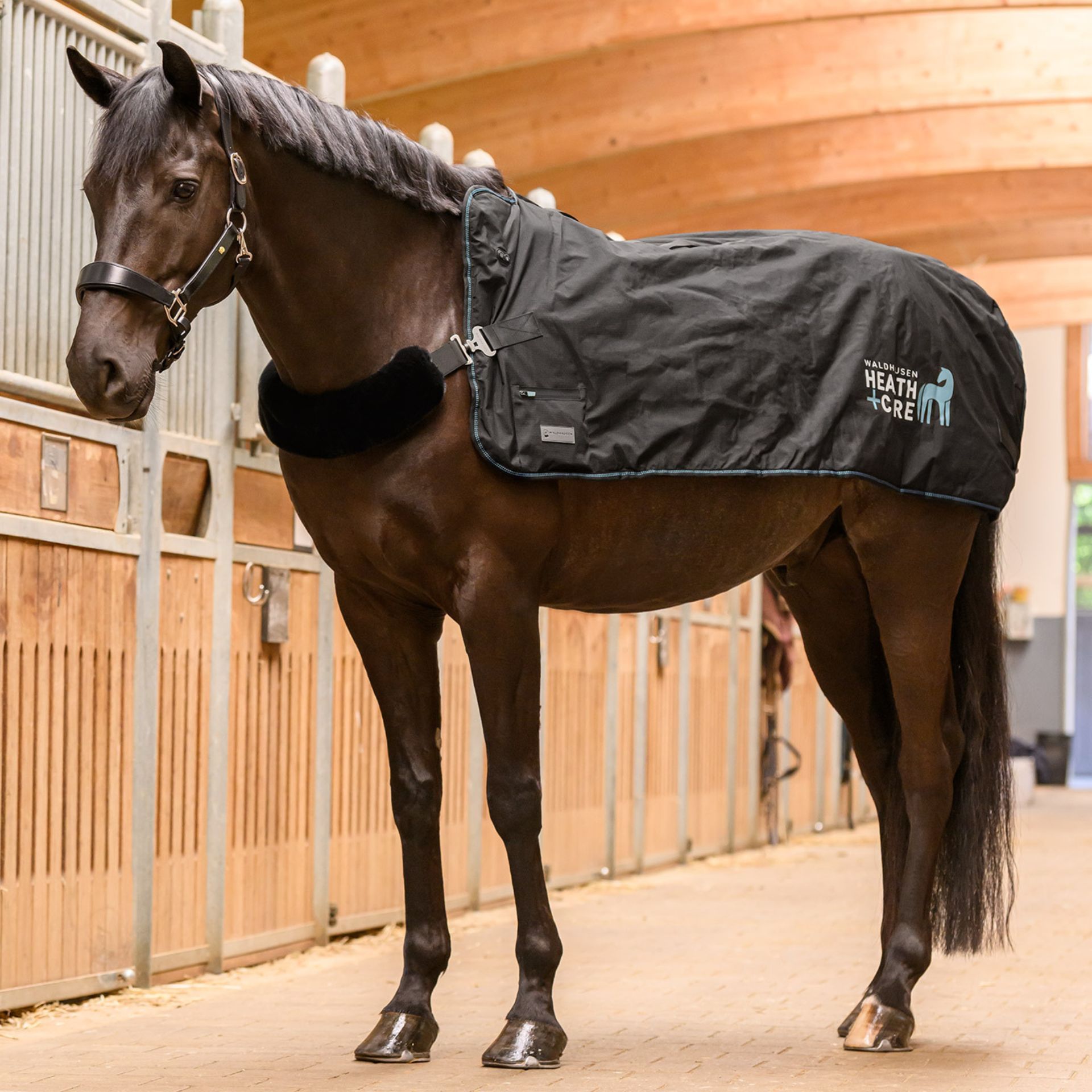 horse, horse blanket, stable, stable blanket, barn