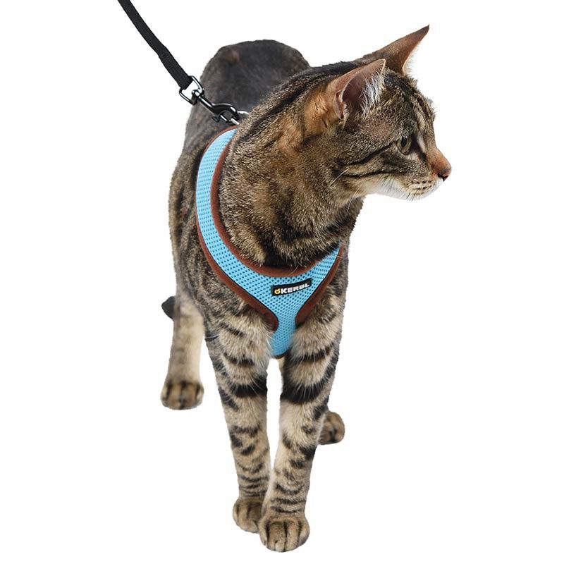 Kerbl Cat Harness Active with Leash, Soft Mesh Material, in use