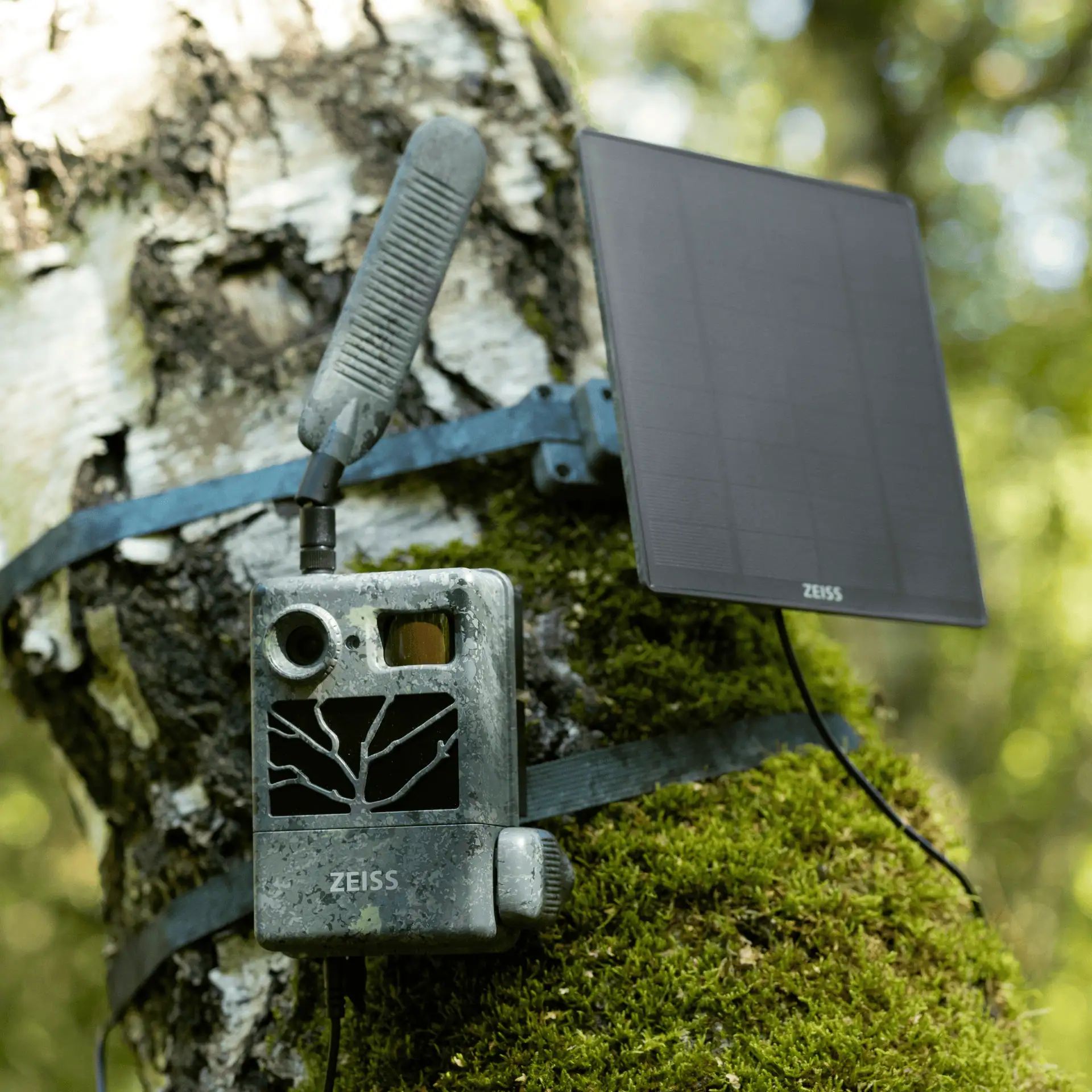 ZEISS Solarpanel för Secacam Viltkamera, väderbeständig IP66, i användning